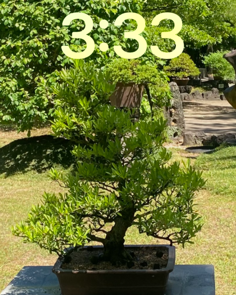 Exhibit 5: #3 R. Joe Dieleman: Triune Numeros 