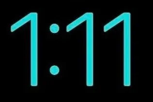 Exhibit 5: #1 R. Joe Dieleman: Triune Numeros 