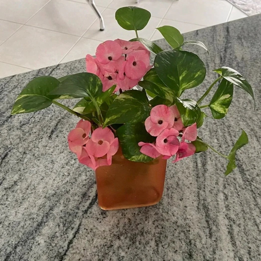 Exhibit 3: #37 Arrangement - Marcia Dieleman