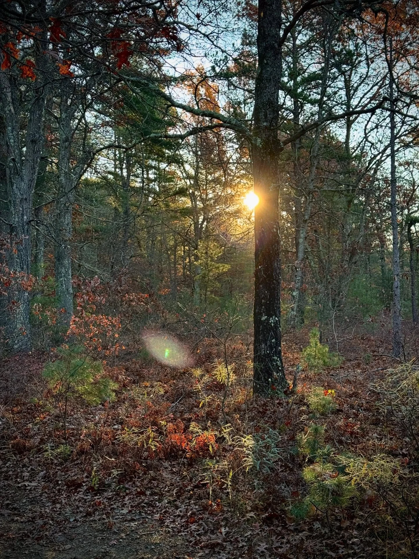My favorite part of the day is when I can get out to go for a morning walk. Everything is quiet. It&rsquo;s a new beginning. There&rsquo;s so much potential in the world right now.