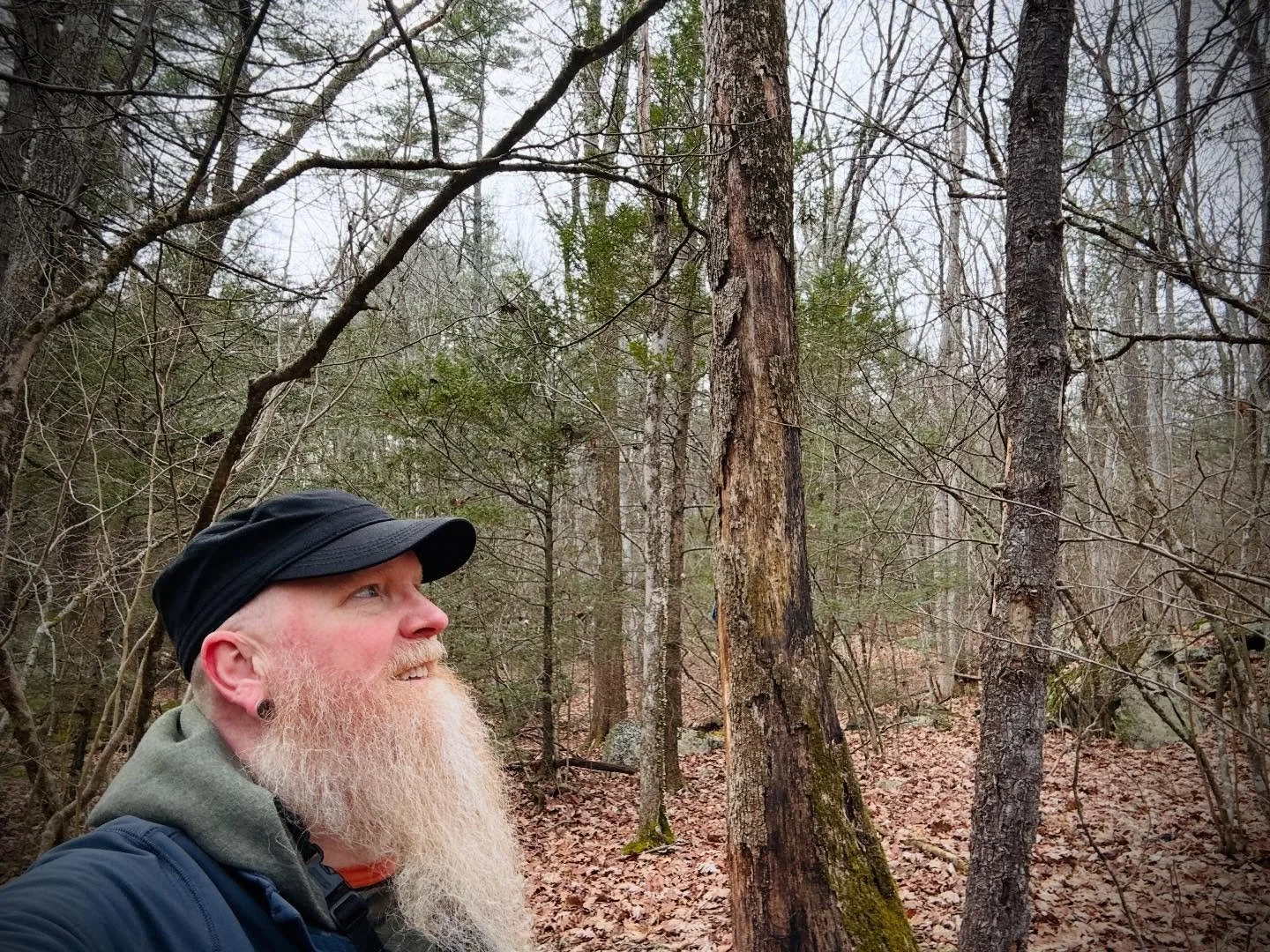 There&rsquo;s nothing like a good walk in the woods to benefit my mental health! #OptOutside