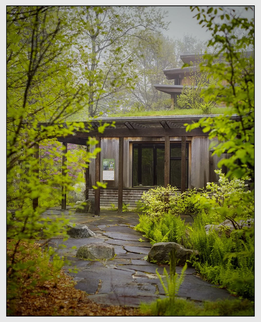 Do You Want To Spend Time Or Spend Money?