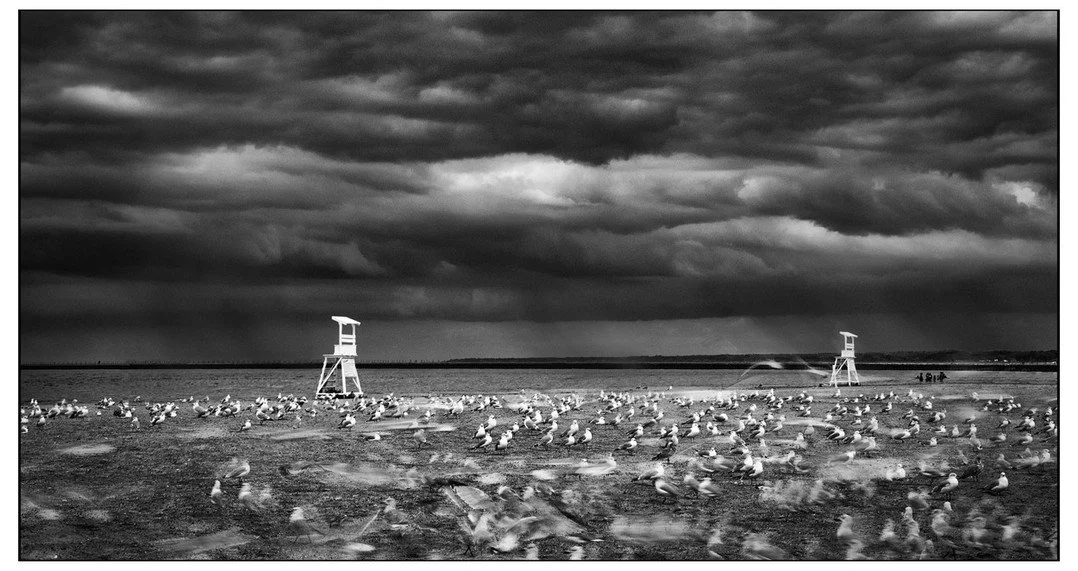Sentinels stand watch.⁠
Witness an impending storm⁠
Gulls roam unconcerned