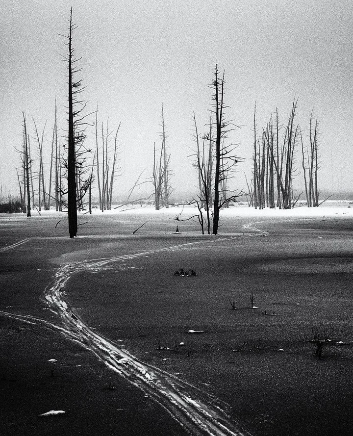 Mist frozen mid air⁠
Skis crunch on frozen waters⁠
Listen to the ice⁠
--My Daily Photo--
