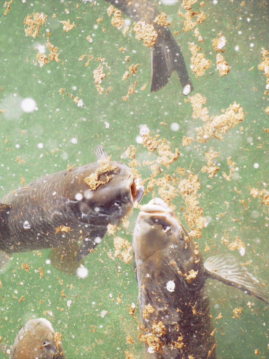 Screenshot 2026-01-30 at 11.34.57.png