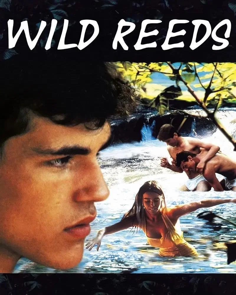 🏳️&zwj;🌈🍿Queer Fan Cinema🍿🏳️&zwj;🌈
Wild Reeds, the classic 90s Bi French film that is beautifully atmospheric and moving coming of age romance. 
Thursday 1/8 at 7:30