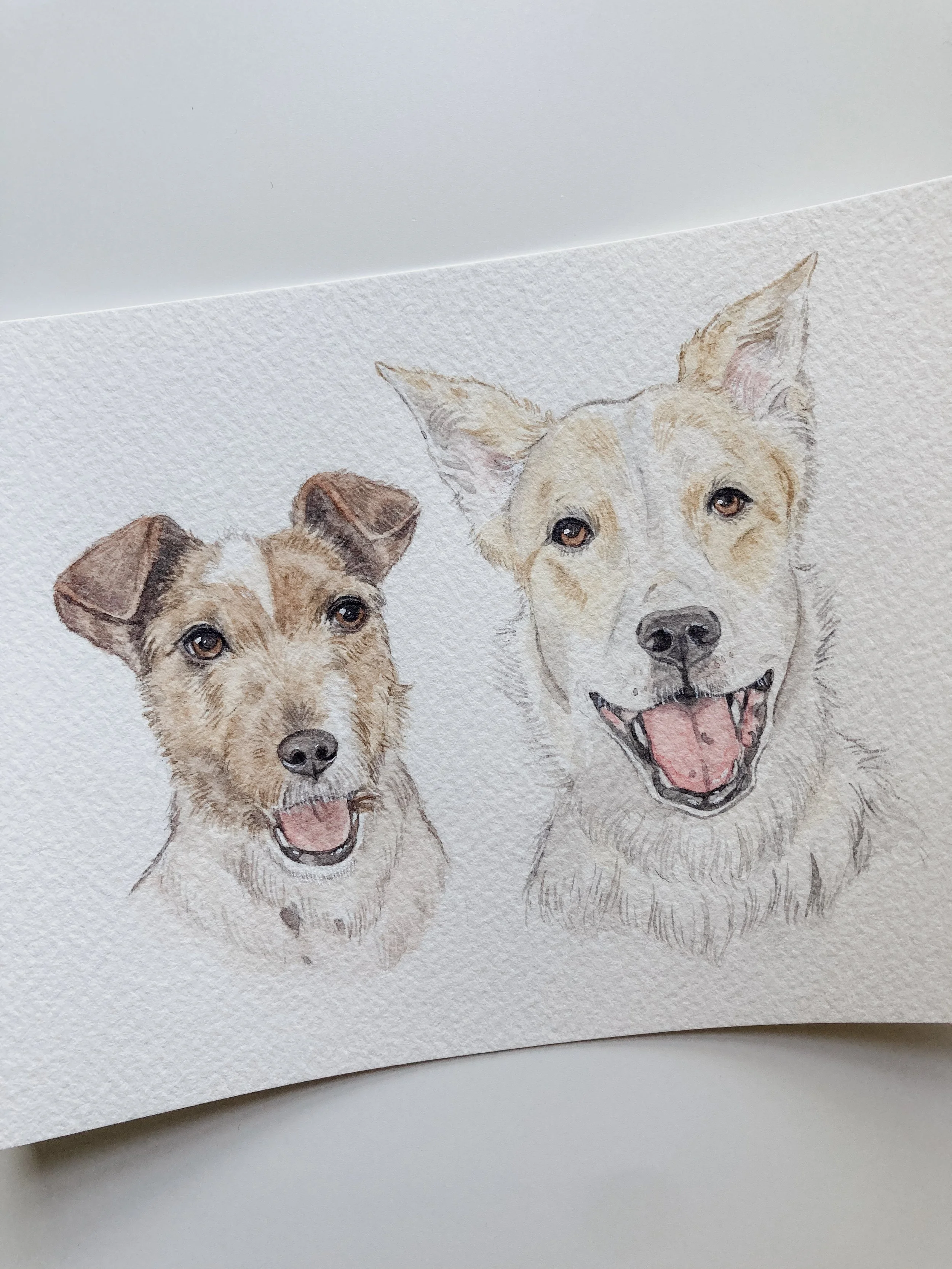 Small Two Pet Portrait (Face)