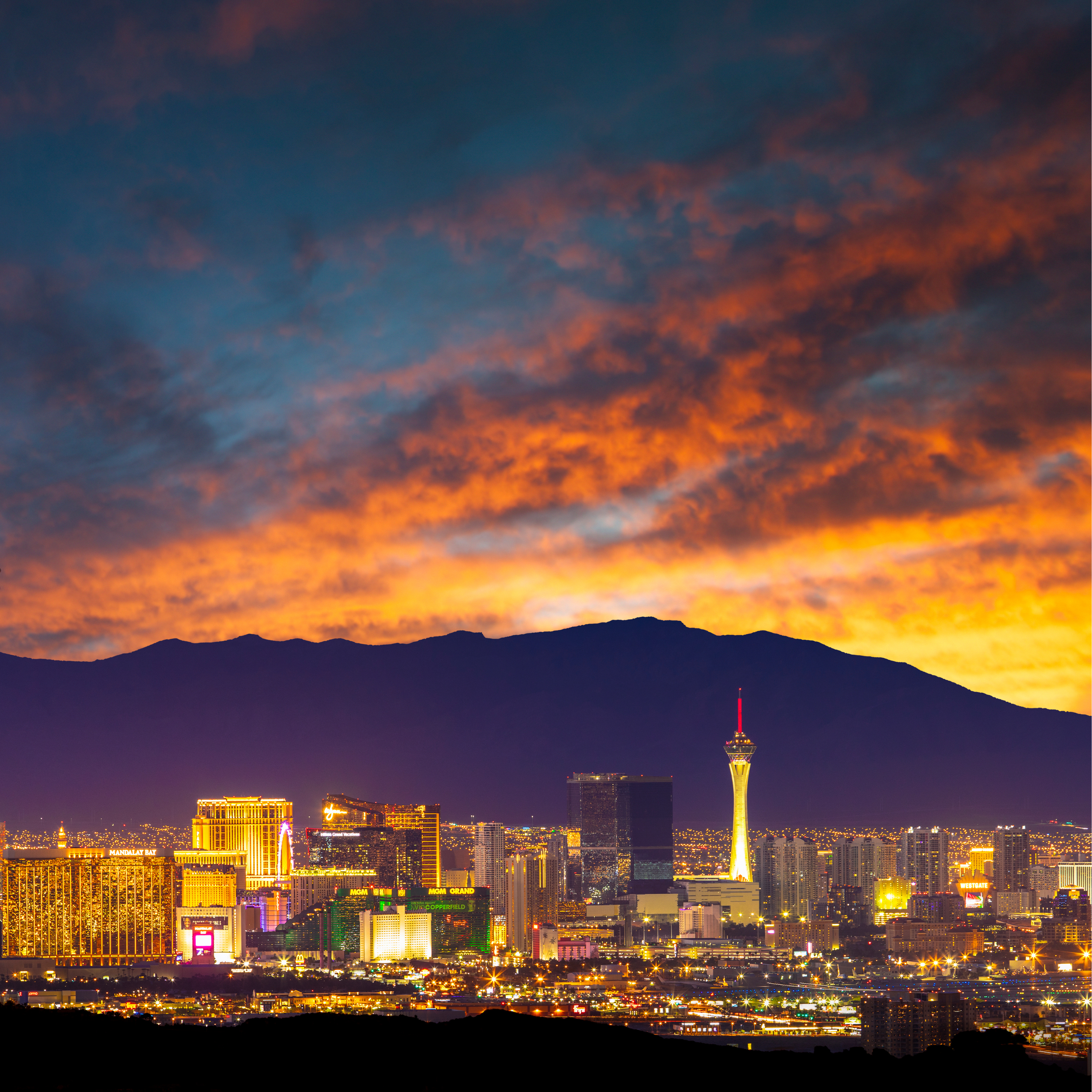 Zzyzx Realty