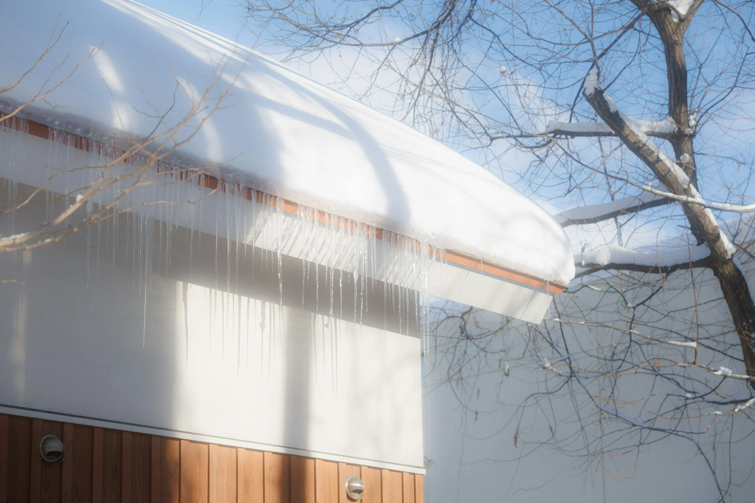 Snow-covered roof with icicles hanging from the edge, and a tree with snow on its branches in the background against a blue sky.