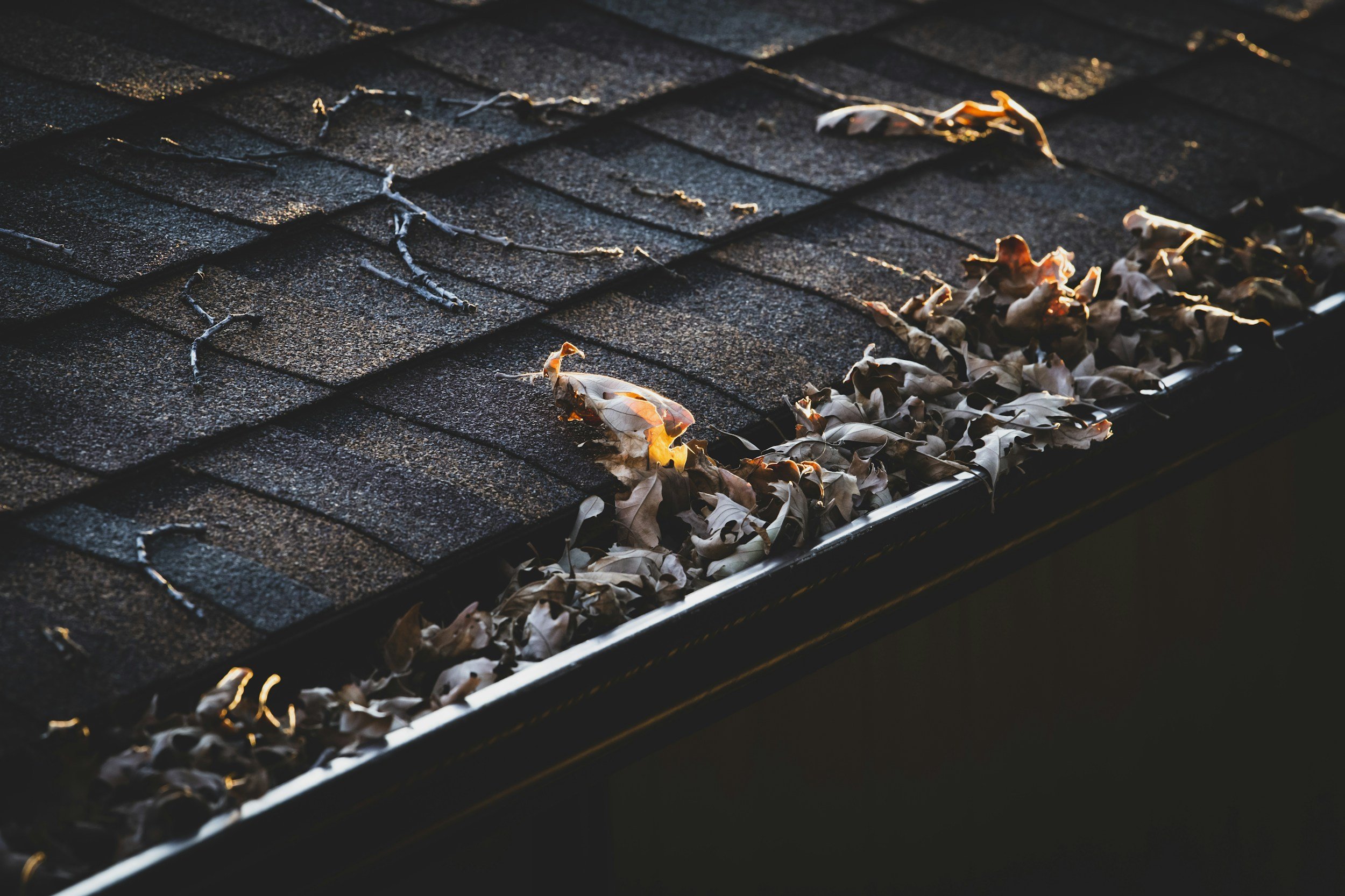 clogged gutter filled with leaves and debris