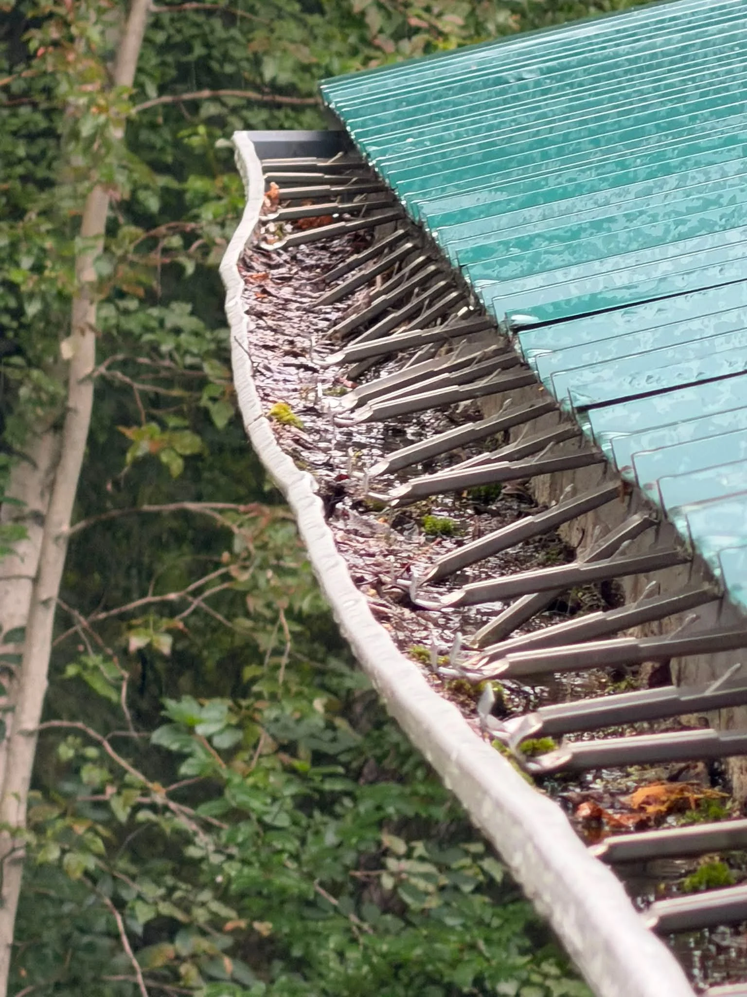 damaged dirty gutter