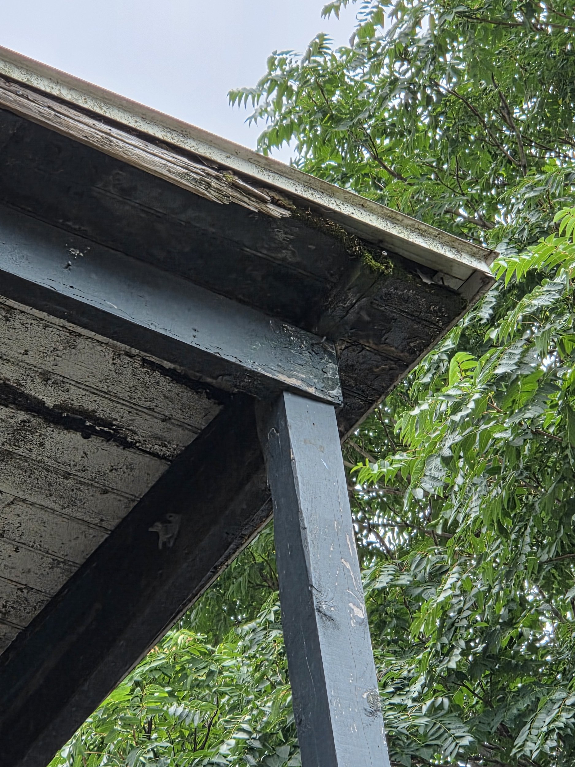 DAMAGED EXTERIOR CROWN MOULDING