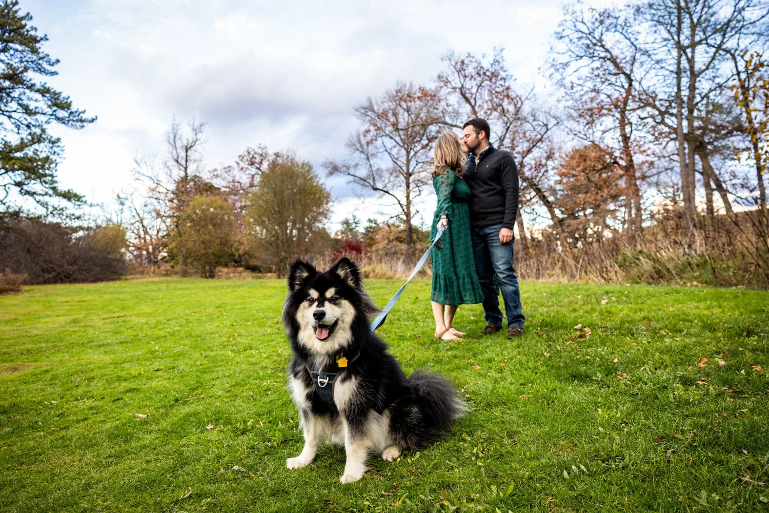 You asked for it, you got it!  #puppersofinstagram! 

Did a great #engagementsession with @mo.cookies7 @rogerwilliamspark 

#romance #wedding #riweddingphotographer #maweddingphotographer #newportweddingphotographer #canon #theknot #weddingwire #wedd