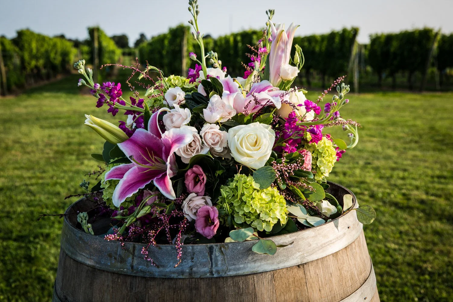 Newport Vineyards Corbman-0021.jpg