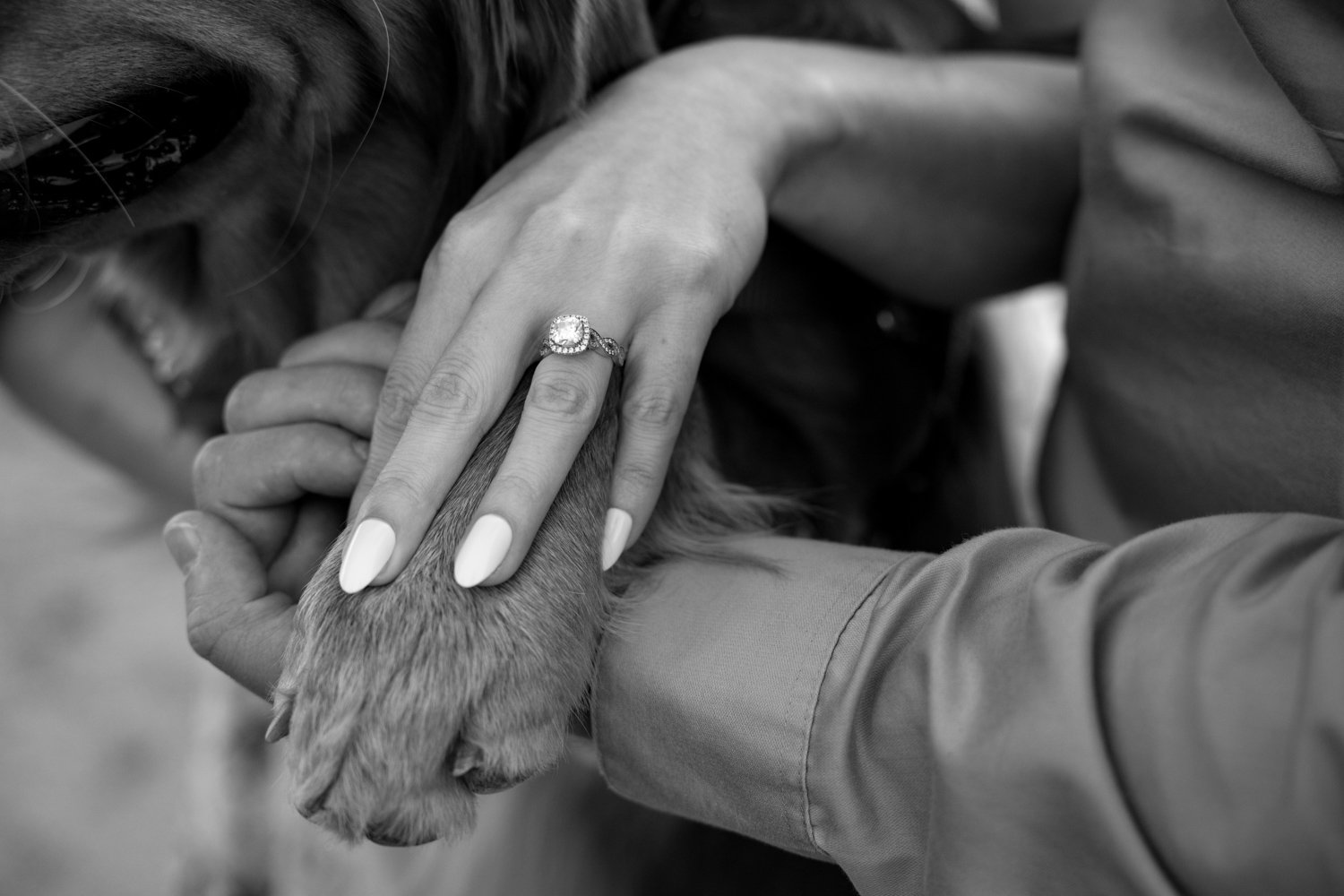 Corbman Engagement Sachuest BW 0028.jpg