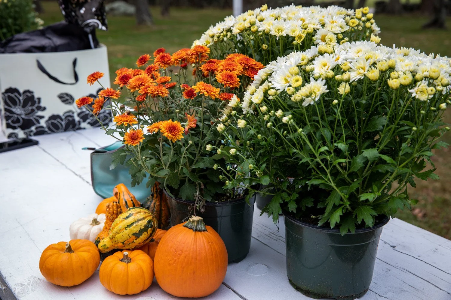 Cost State Park Corbman Wedding-6863.jpg
