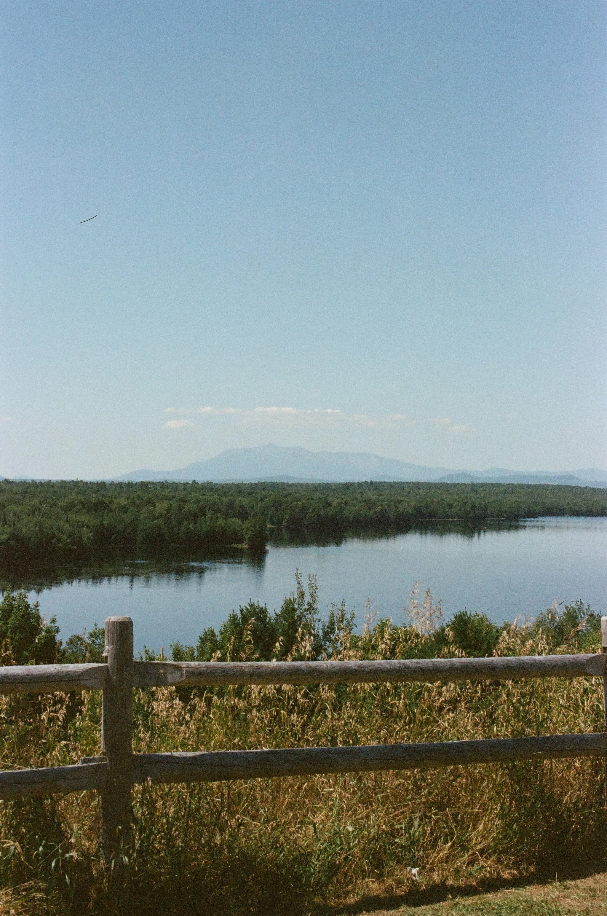 Scenic view of a river with dense trees along the banks, a mountain range in the background, and a wooden fence in the foreground under a clear blue sky.