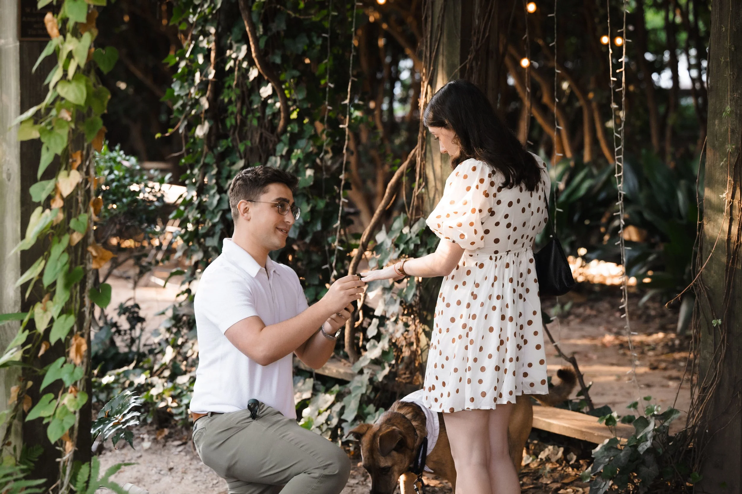 A man proposing marriage to a woman in a wooded outdoor setting with a dog nearby.