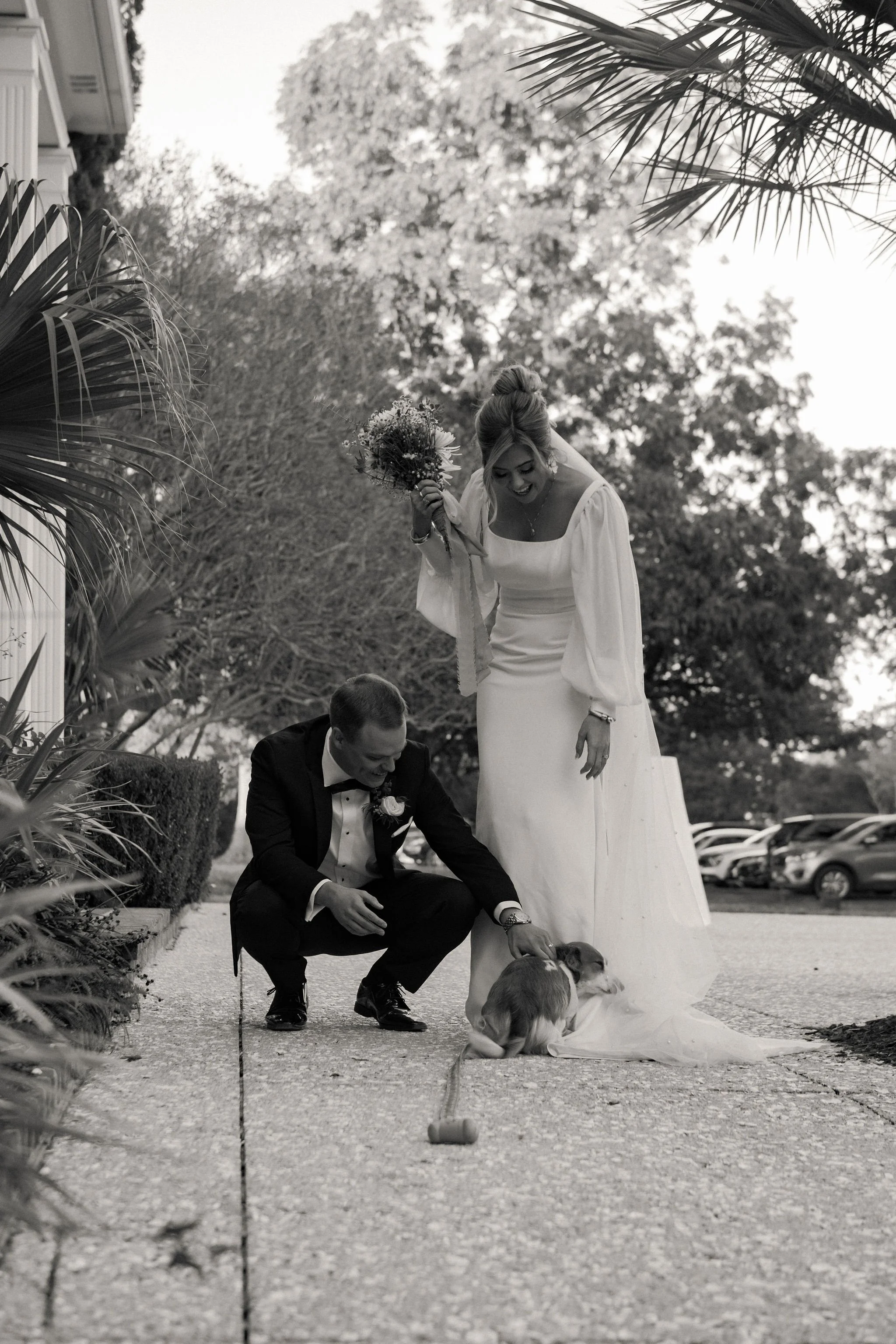 A bride and groom on their wedding day, with the groom kneeling to give a dog a treat as the bride smiles and holds a bouquet of flowers, outdoors among trees and parked cars.