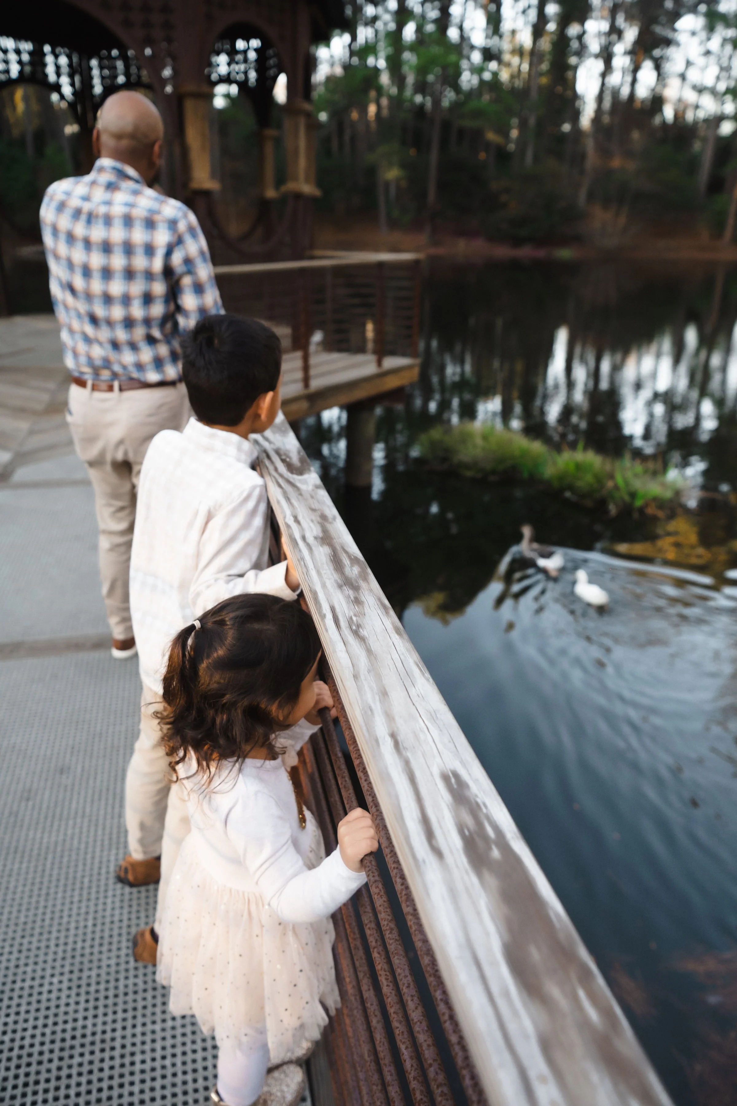 A man and two children observing ducks in a pond from a wooden boardwalk with trees in the background.