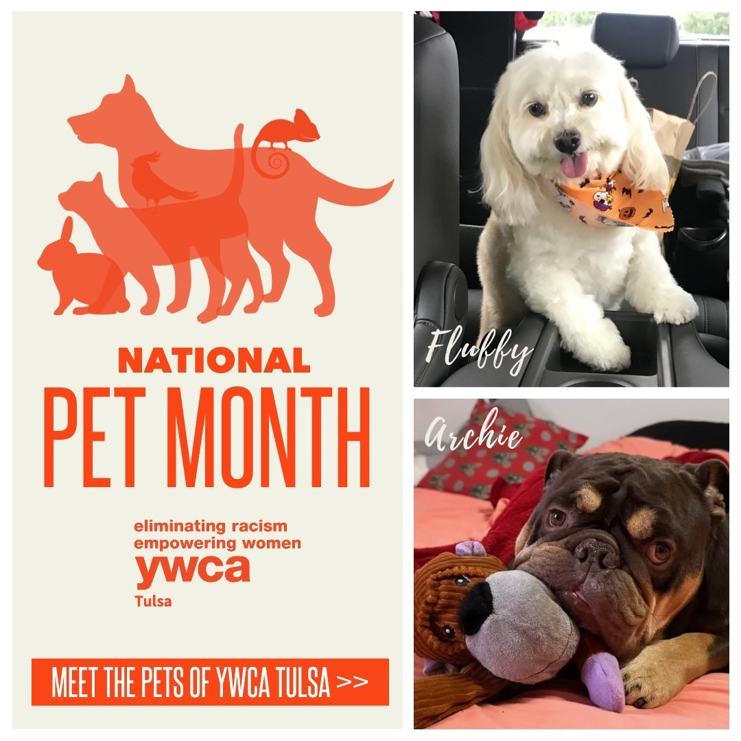 🐾 May is National #PetMonth, a time to celebrate our furry friends! 🐶🐱 YWCA Tulsa is joining the fun by introducing you to our team's fur babies! 🎉 Take a minute from your day to scroll through these pet photos and enjoy all the cuteness overload