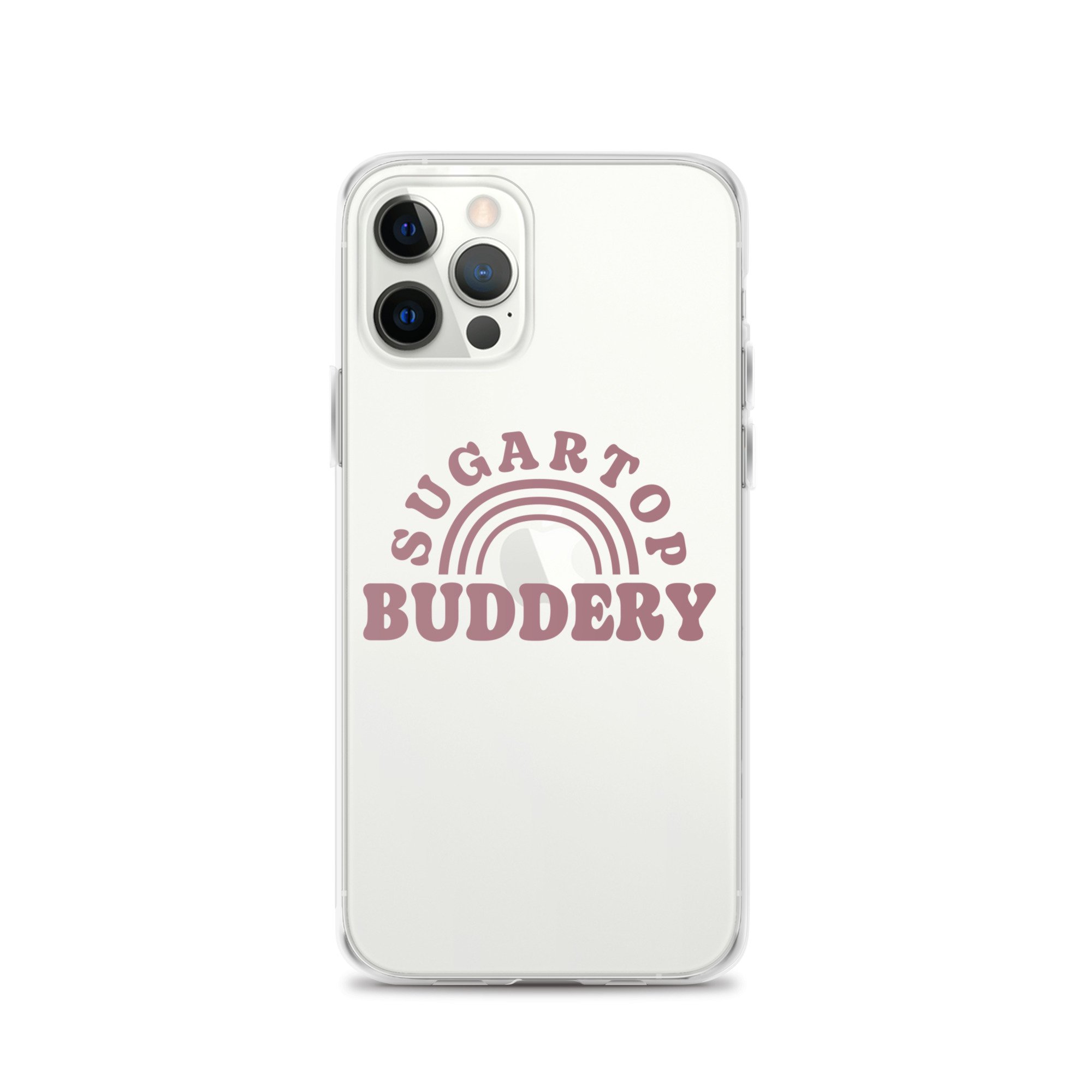 clear-case-for-iphone-iphone-12-pro-case-on-phone-65738ab33f6dc.jpg
