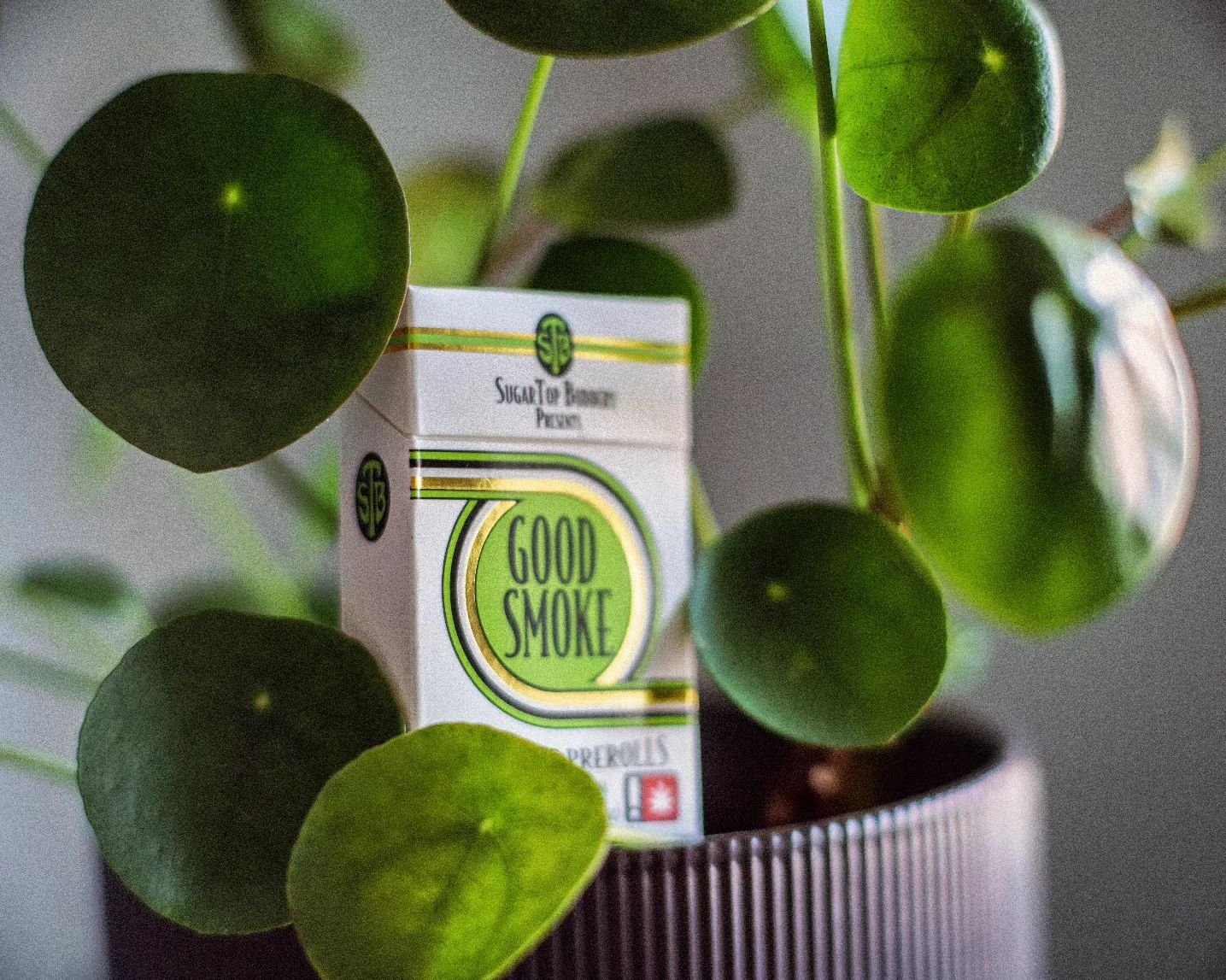 The perfect companion for our house plant collections! Let's get our green thumbs working! @just_goodsmoke