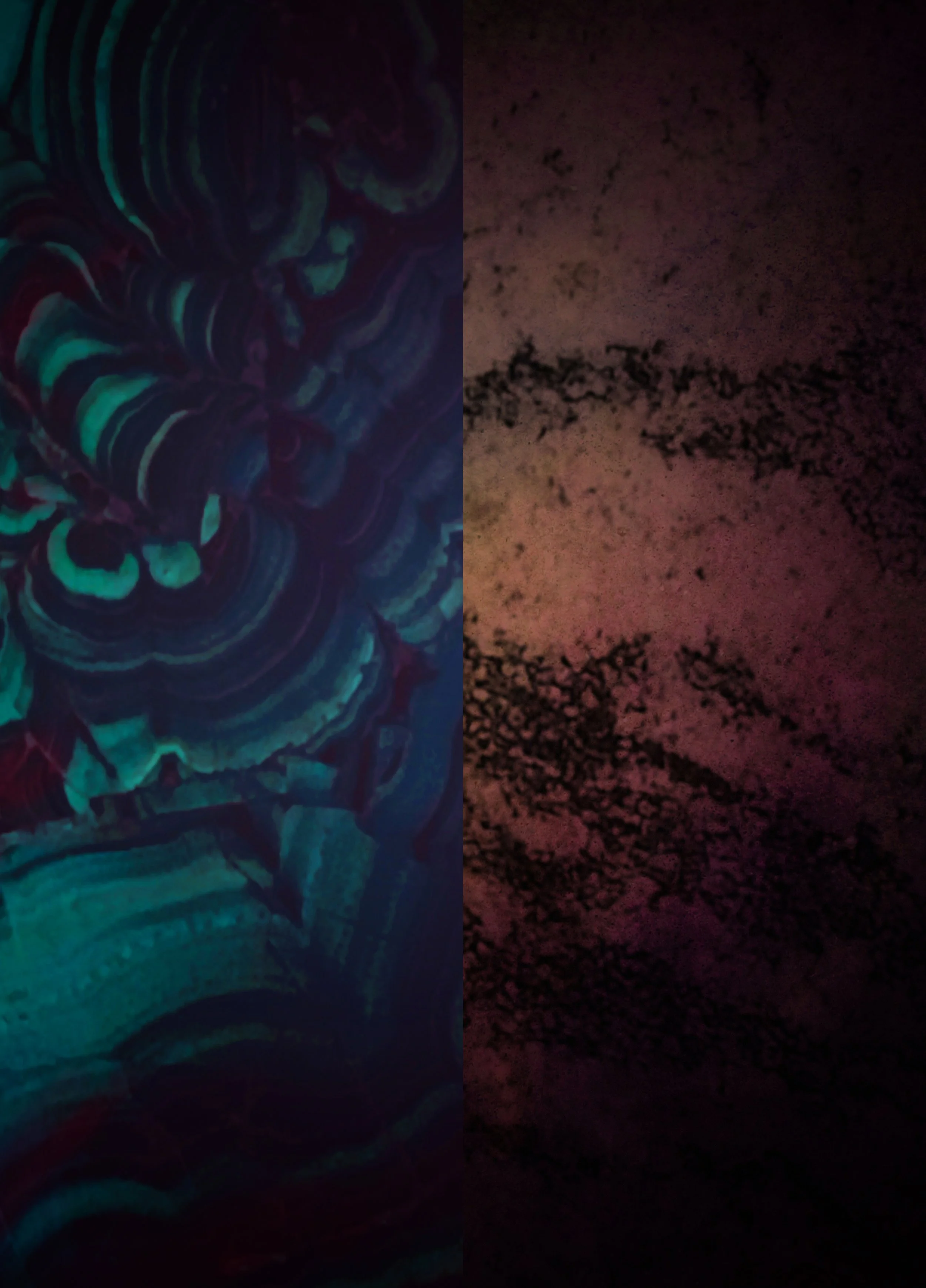 Power + Malice Background 1.jpg