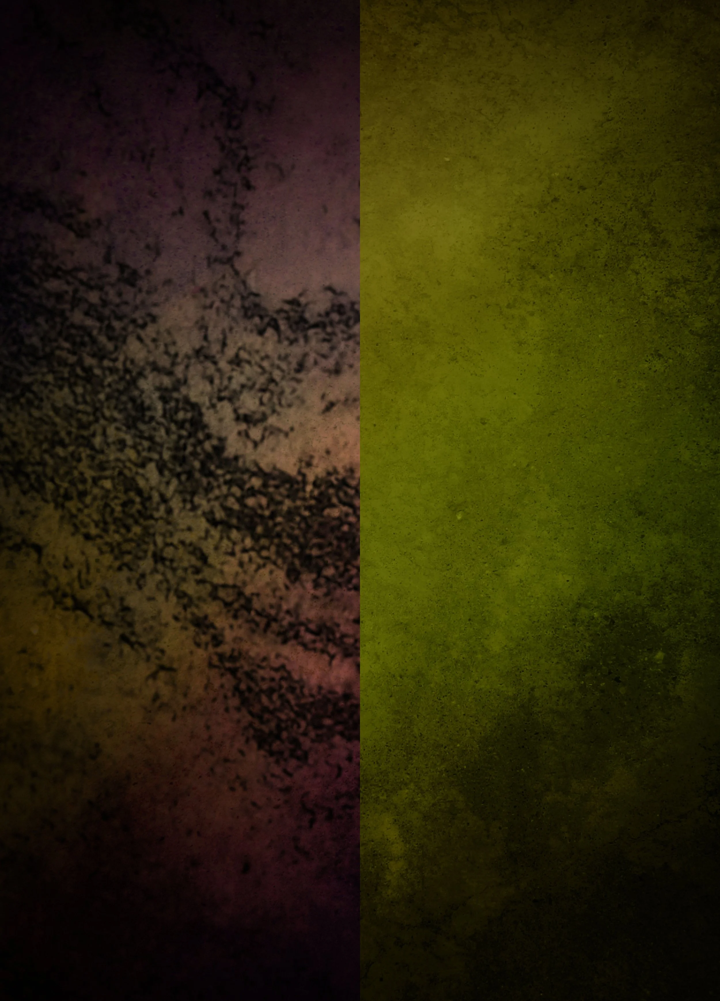 Malice + Nature Background 1.jpg