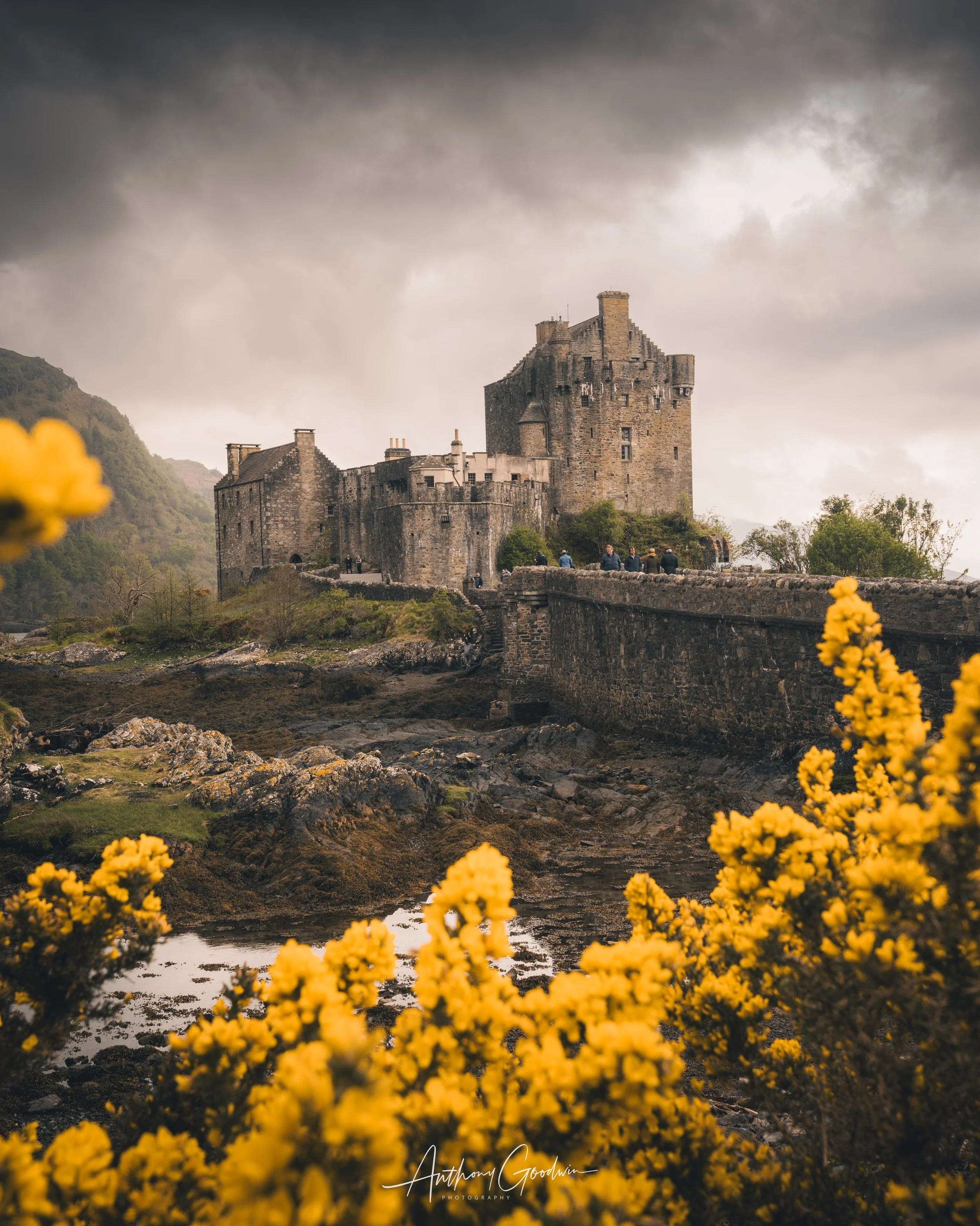 Highlands-8.jpg