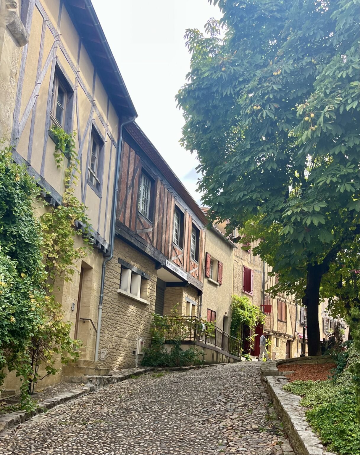 Unexpected Thrills of Travelling