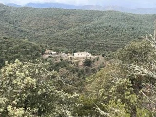 Friends and French Lifestyle