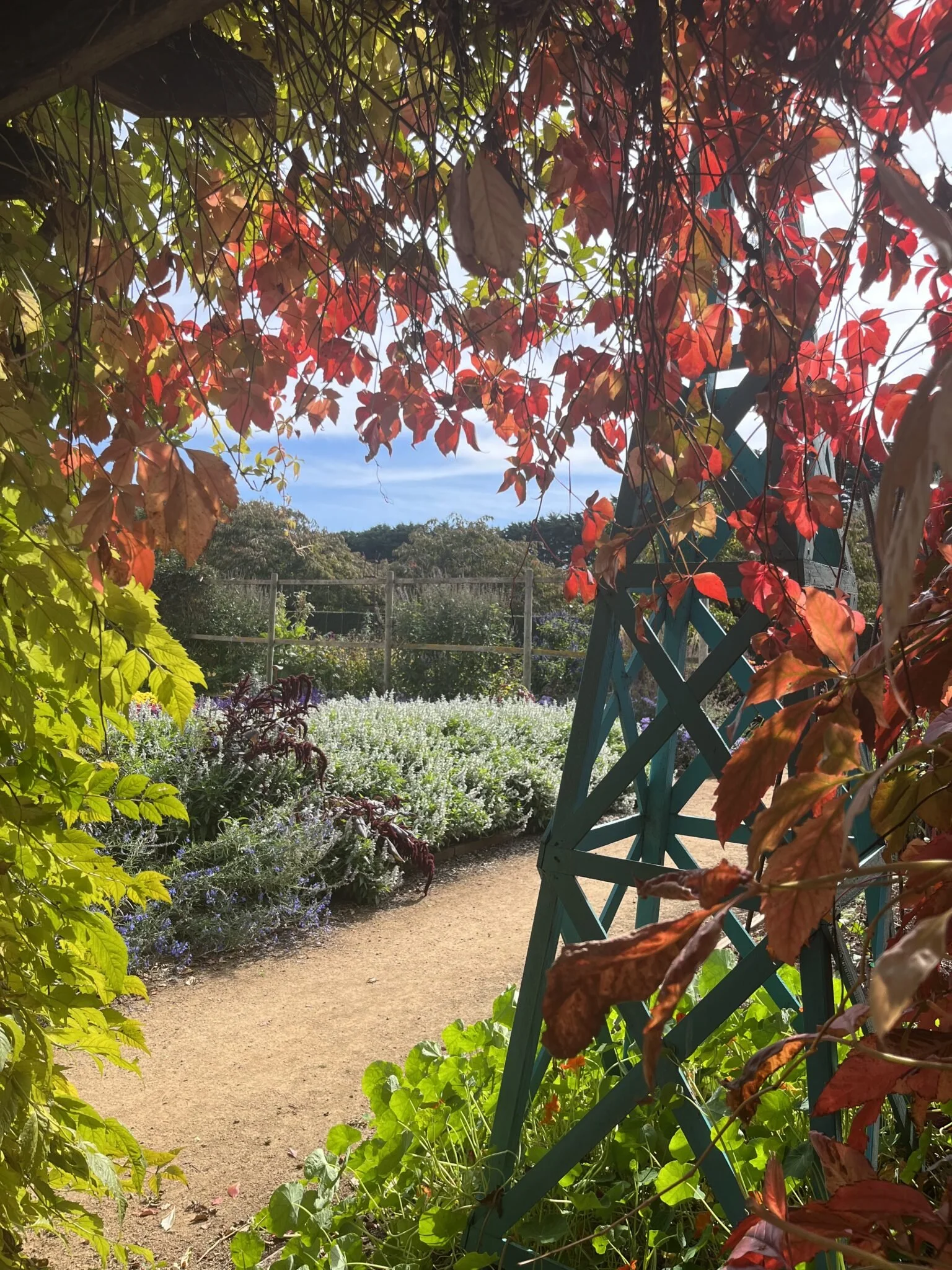 A union of food, wine, people & place