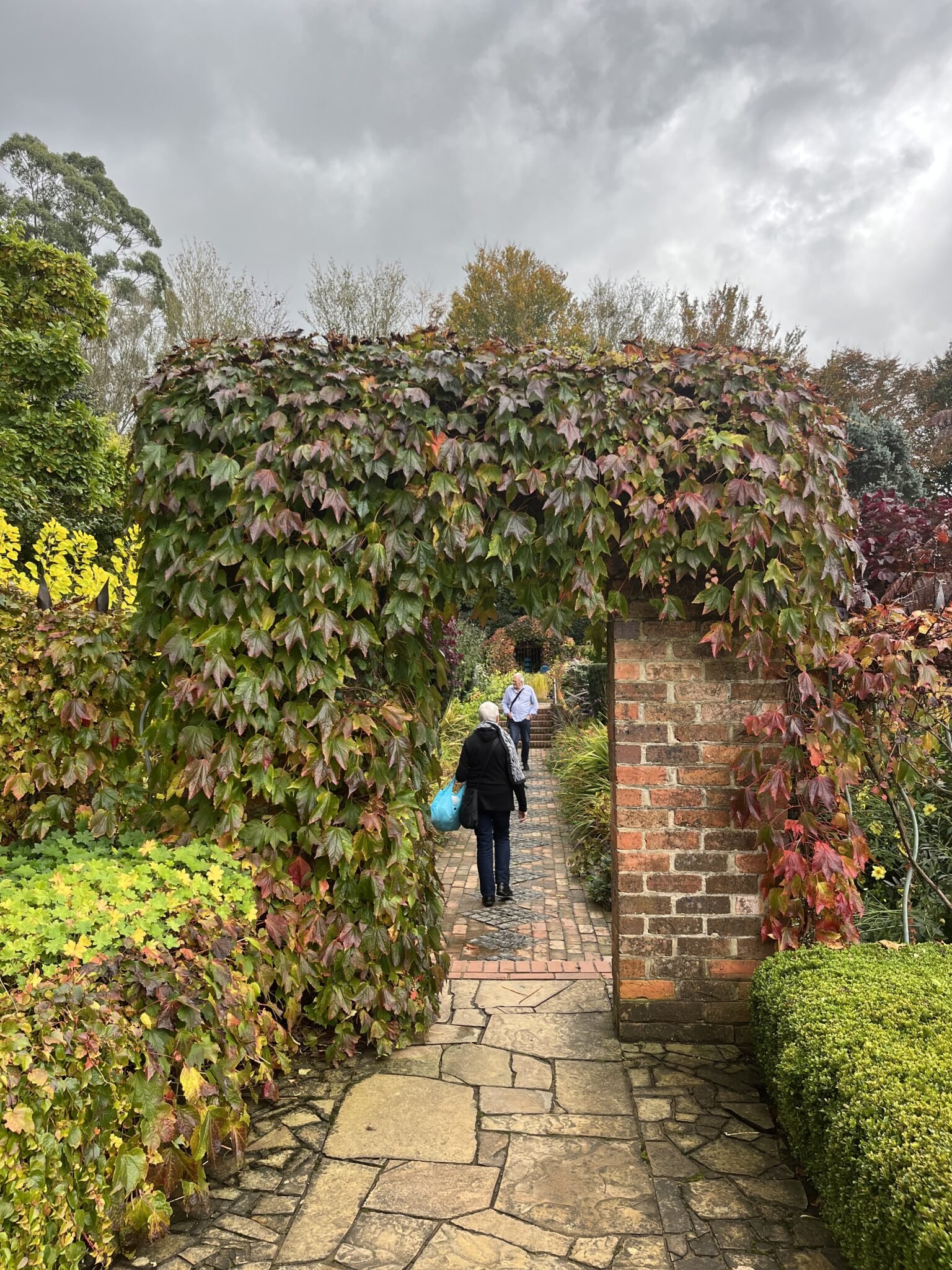 Sampling the Yarra Valley