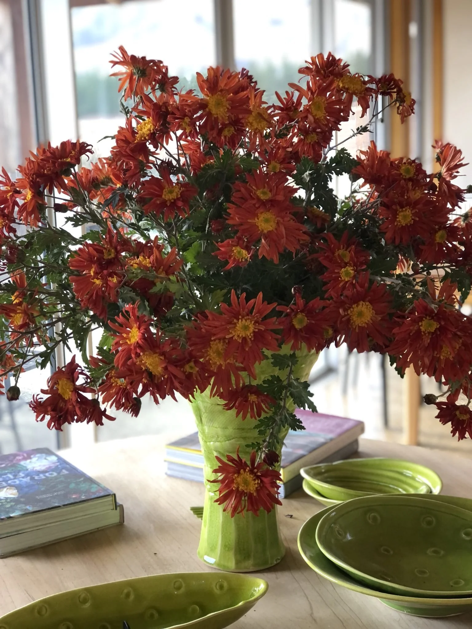 Travels in my garden