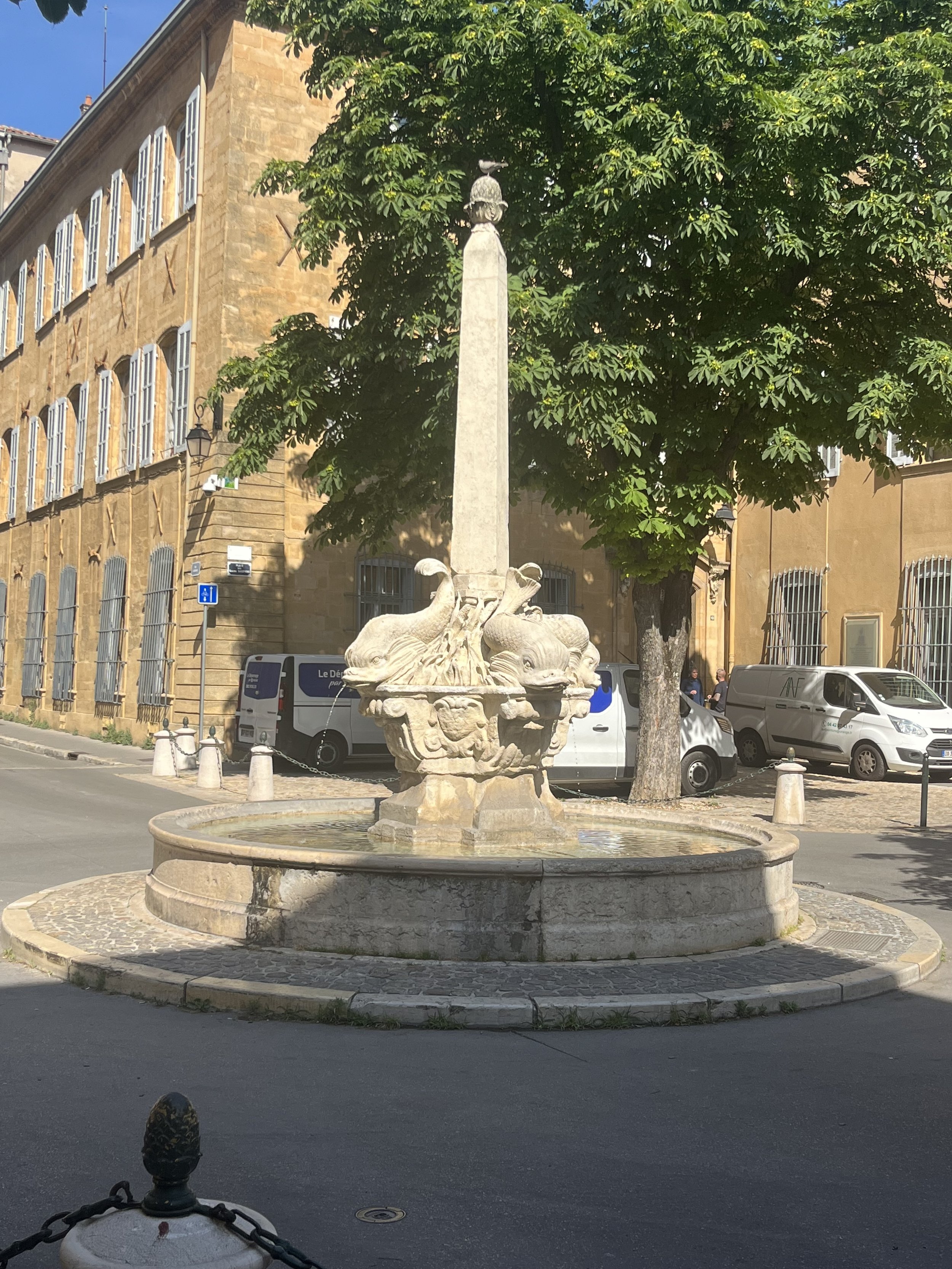 IMG_7455.jpeg