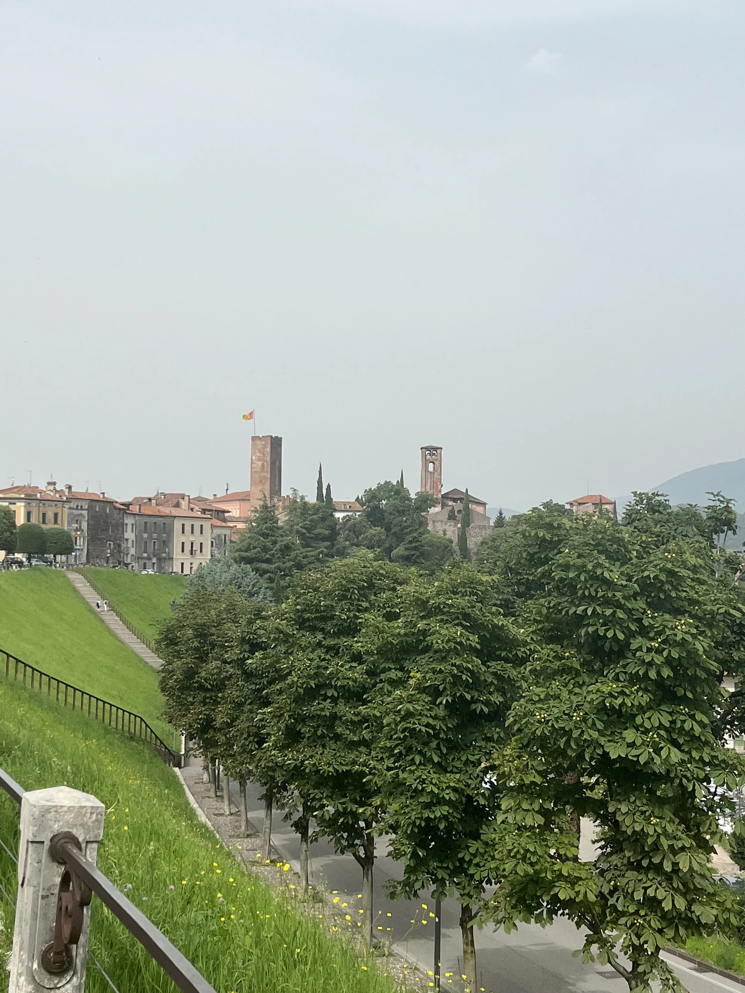 IMG_7979.jpeg