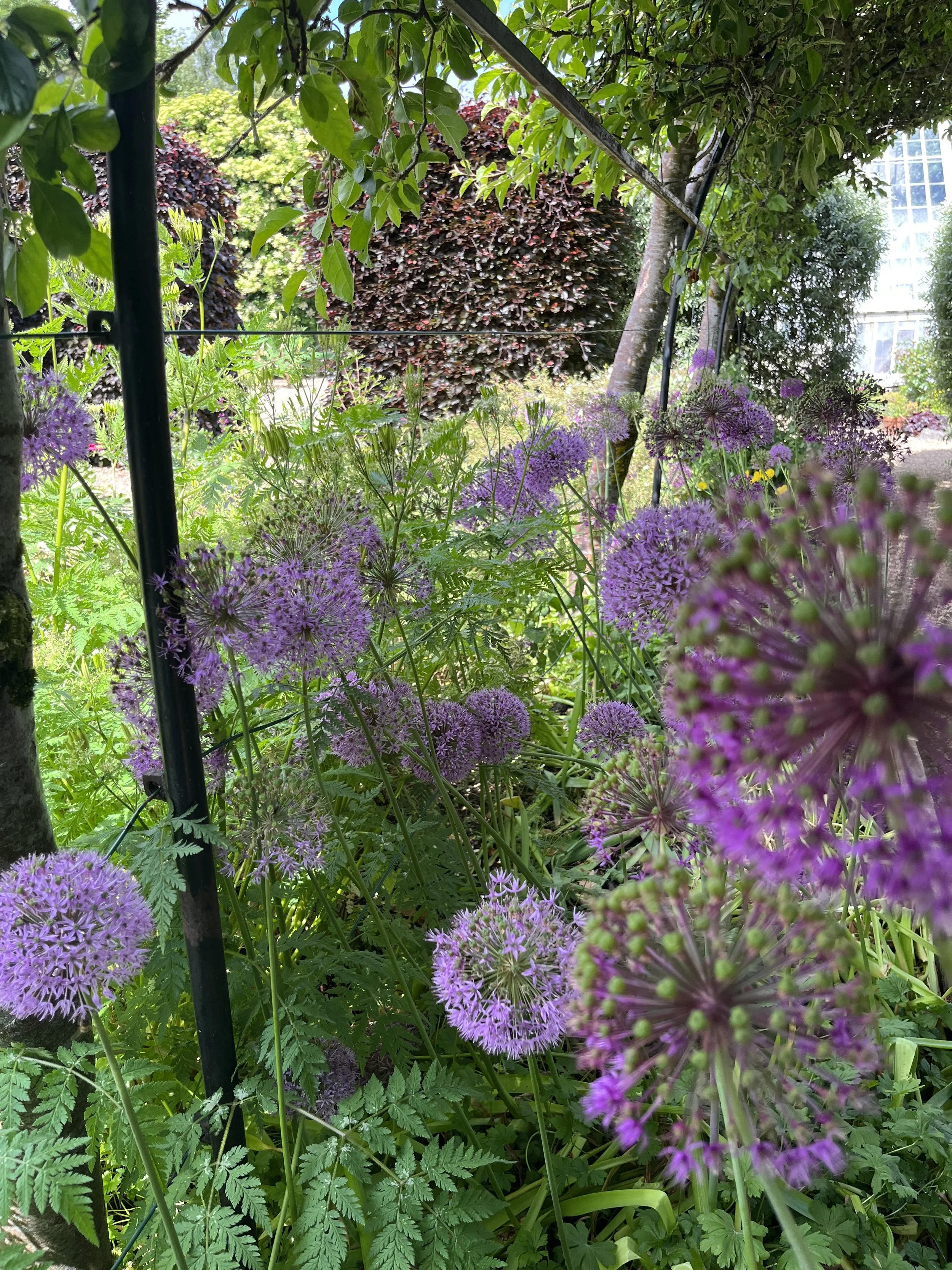 IMG_2260.jpeg