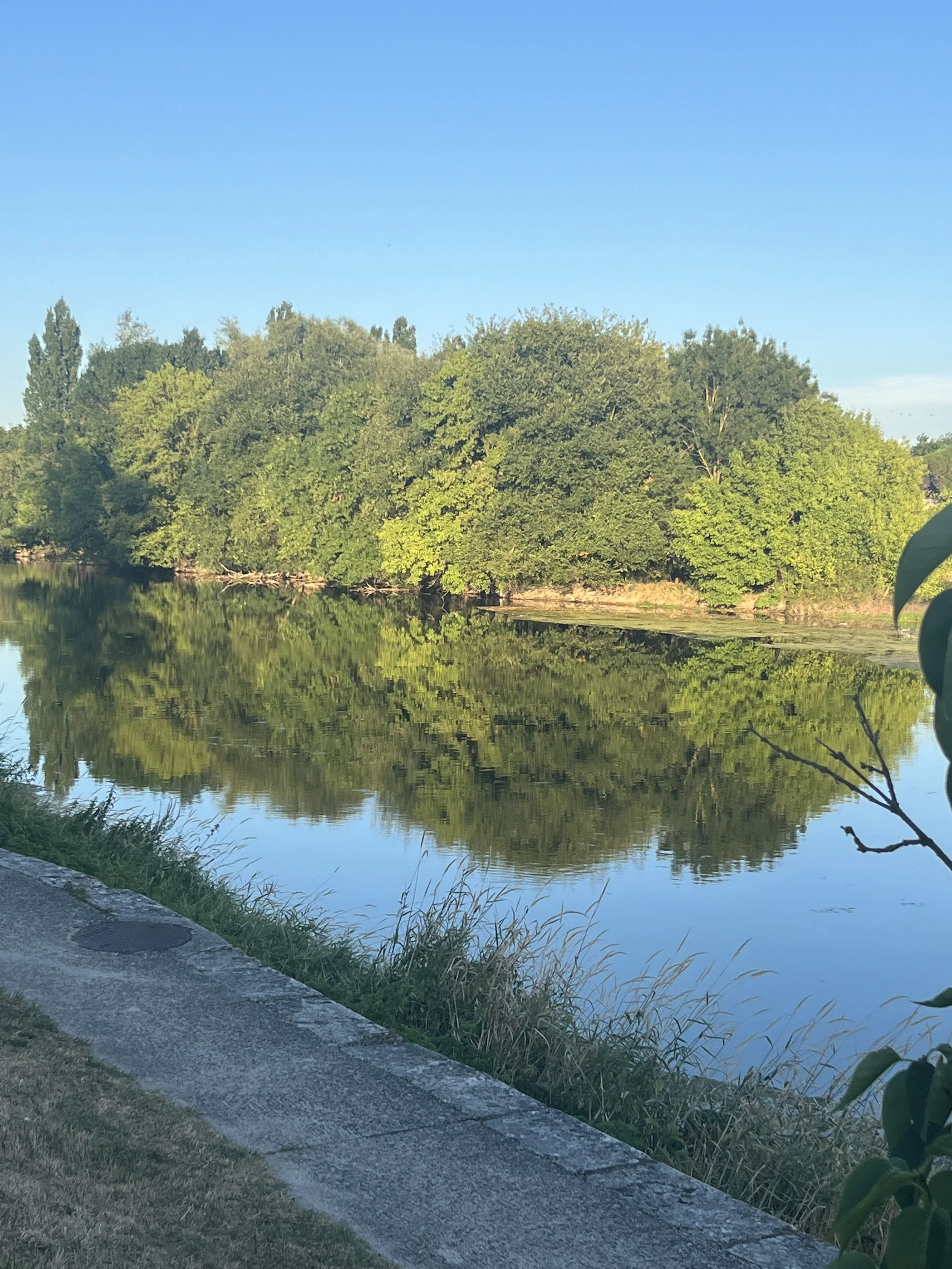IMG_3906.jpeg