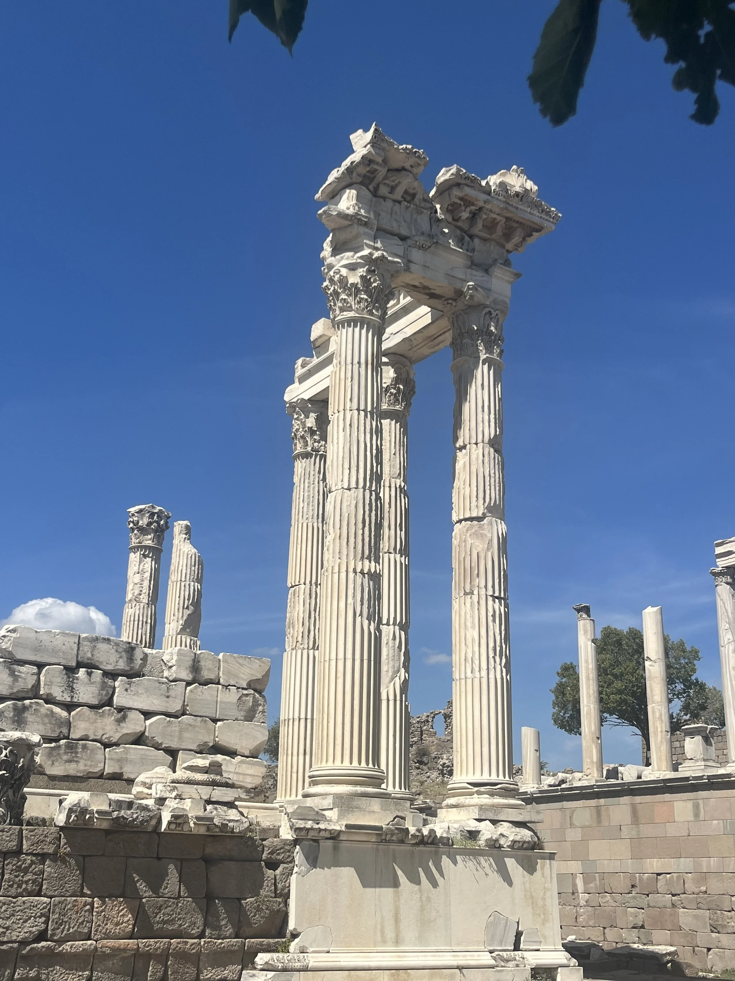 The Ancient World in a Modern Mediterranean Landscape