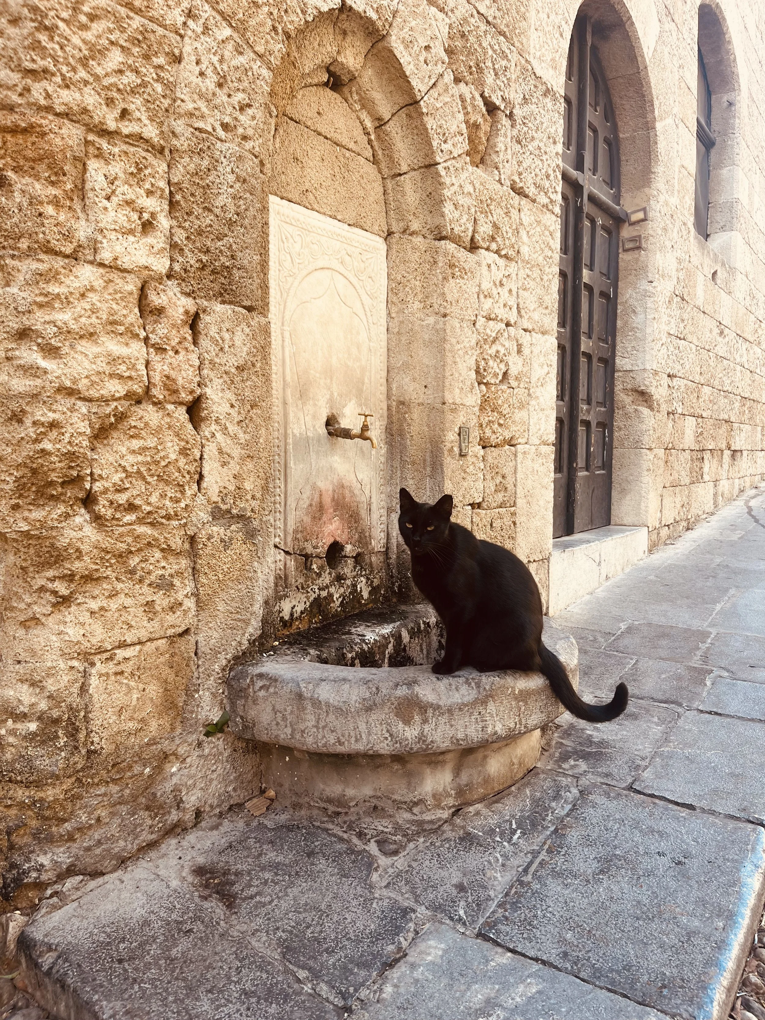 IMG_5774.jpeg