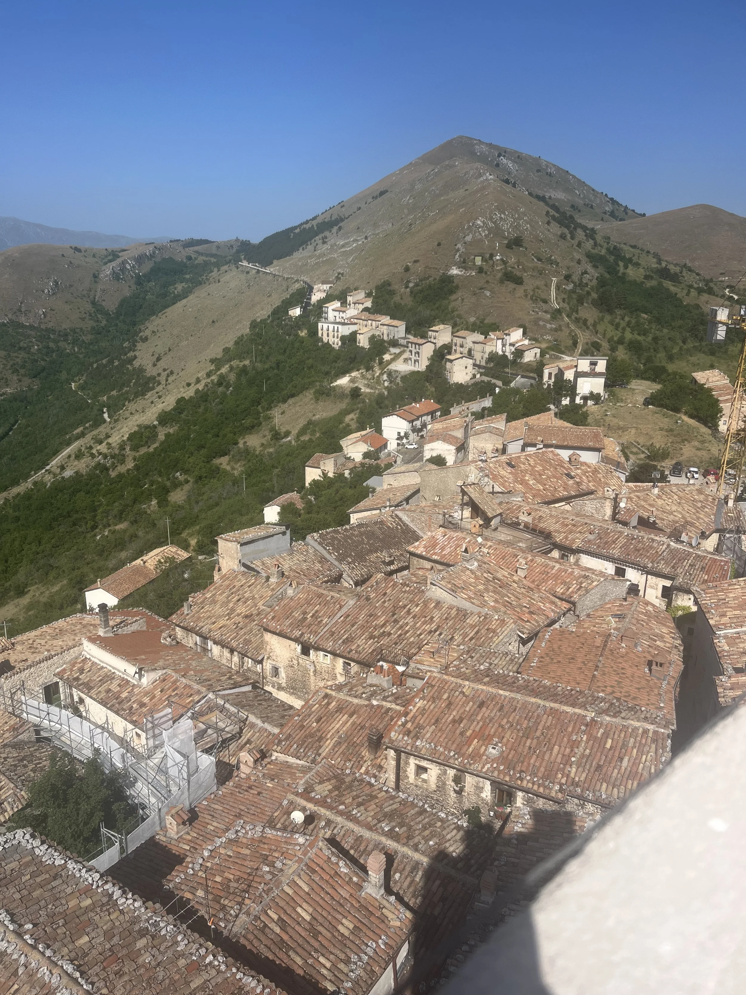 IMG_2919.jpeg