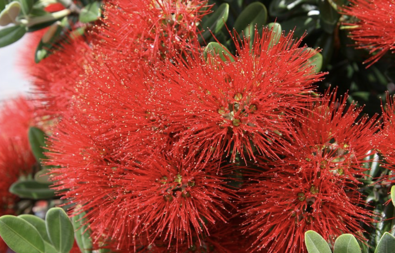 Screenshot 2025-12-22 at 7.40.13 PM.png