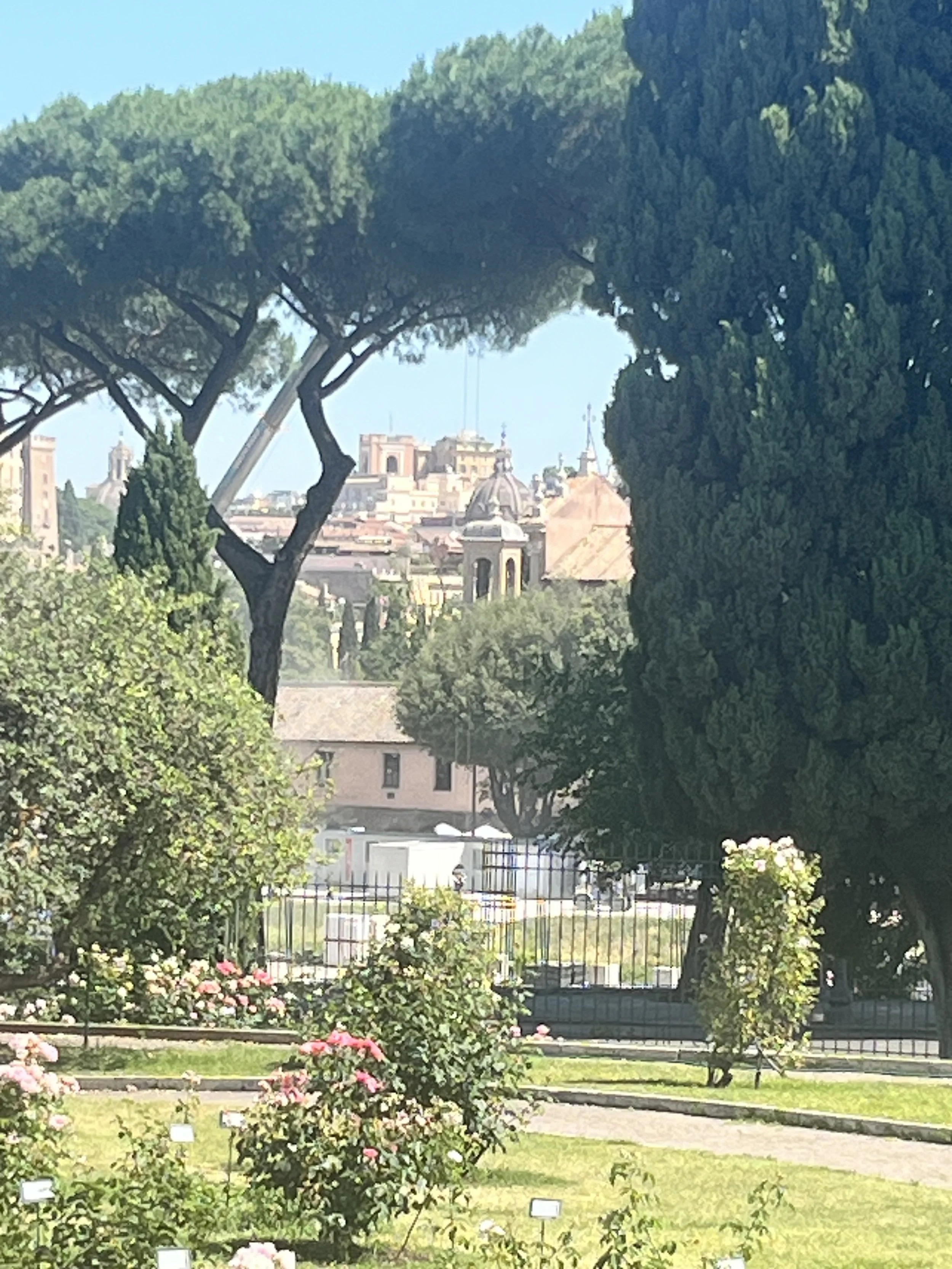 IMG_8071.jpeg