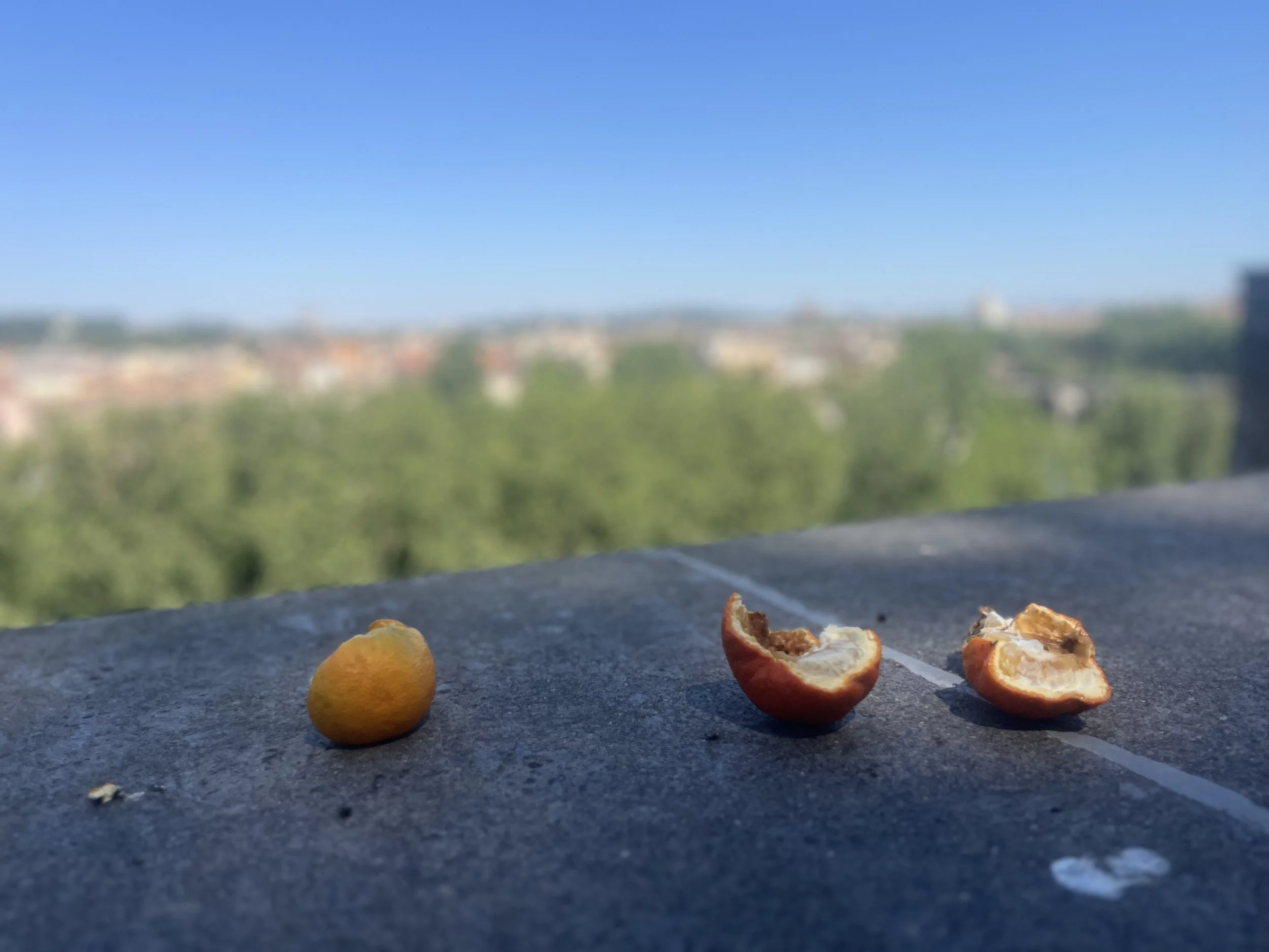 IMG_8077.jpeg