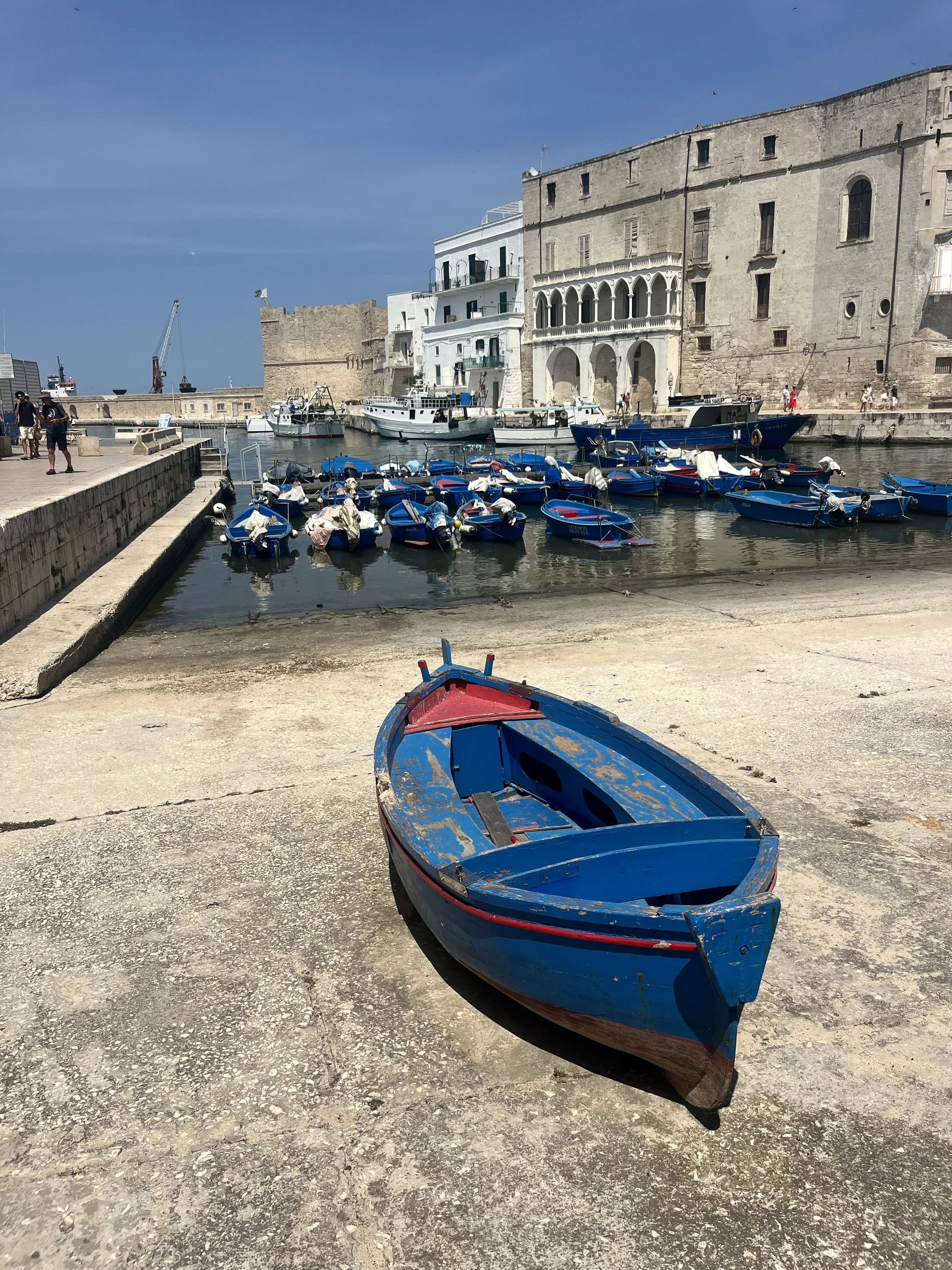 IMG_8128.jpeg