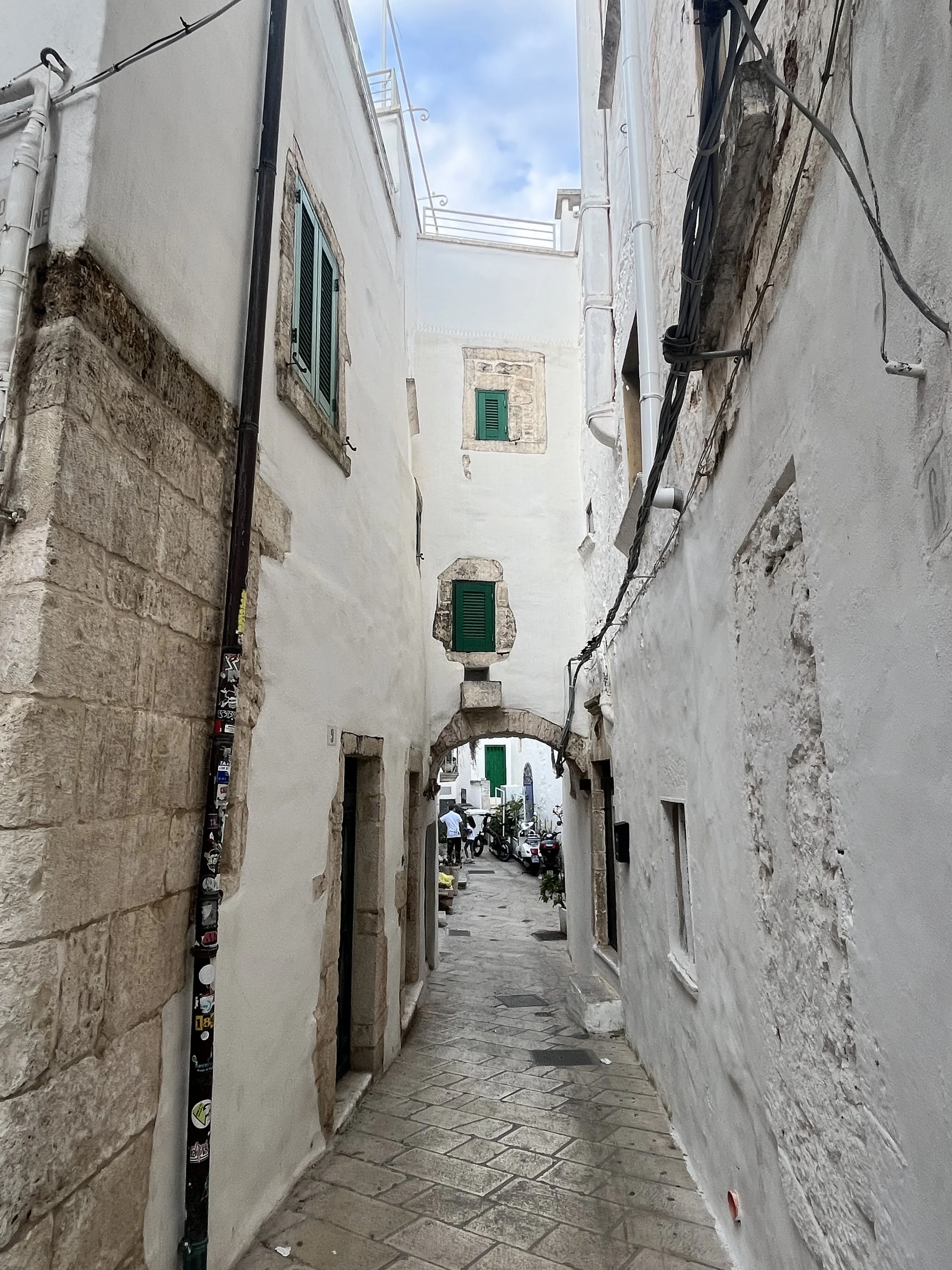 IMG_8177.jpeg