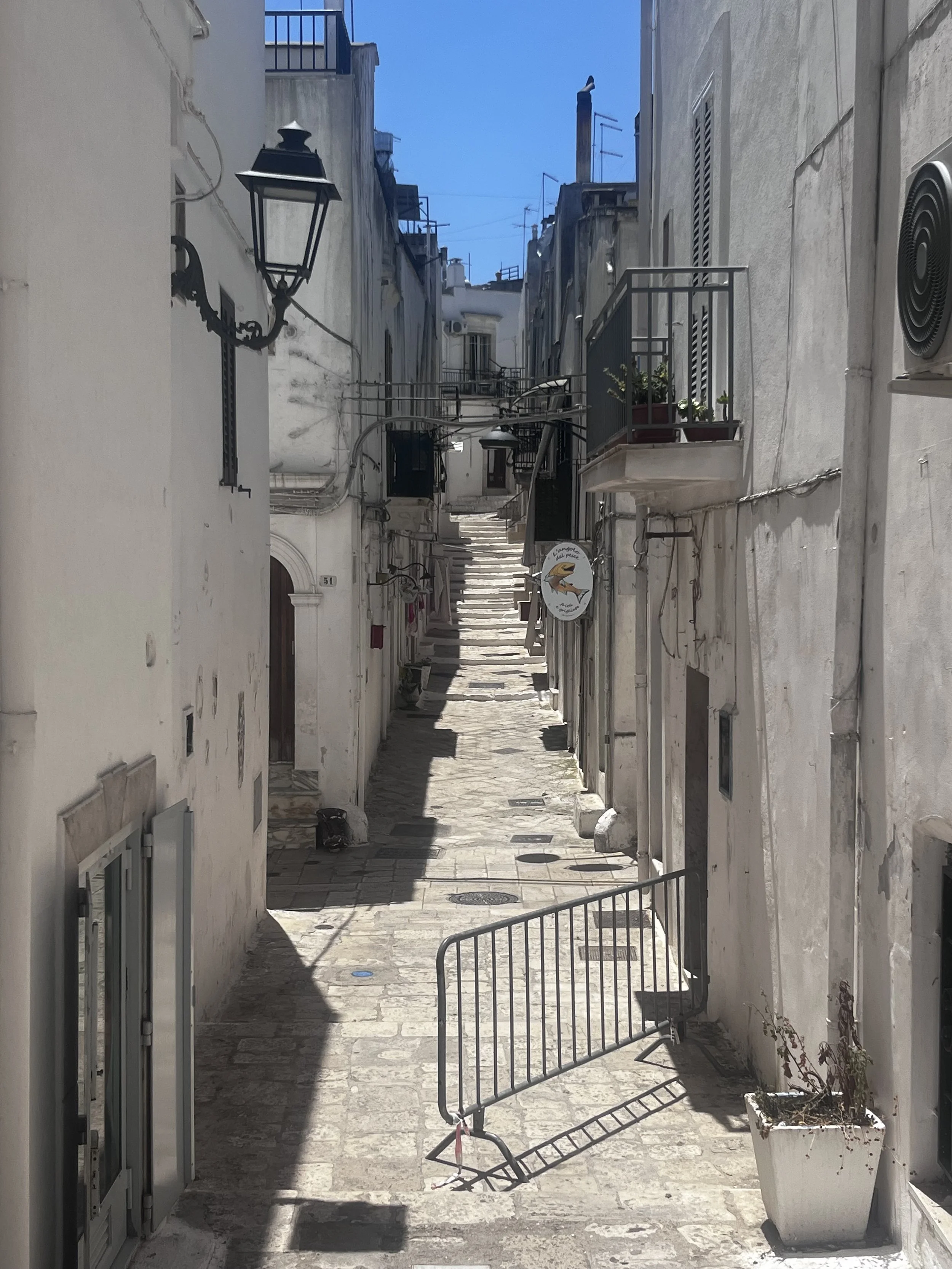 IMG_8329.jpeg
