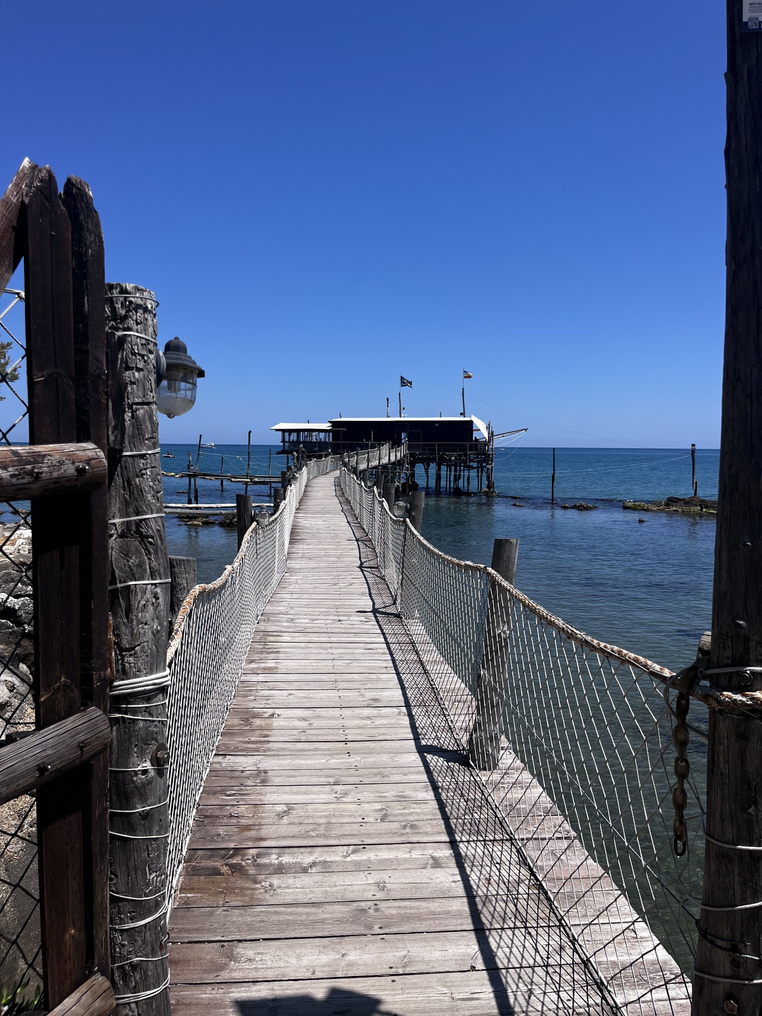 IMG_8346.jpeg
