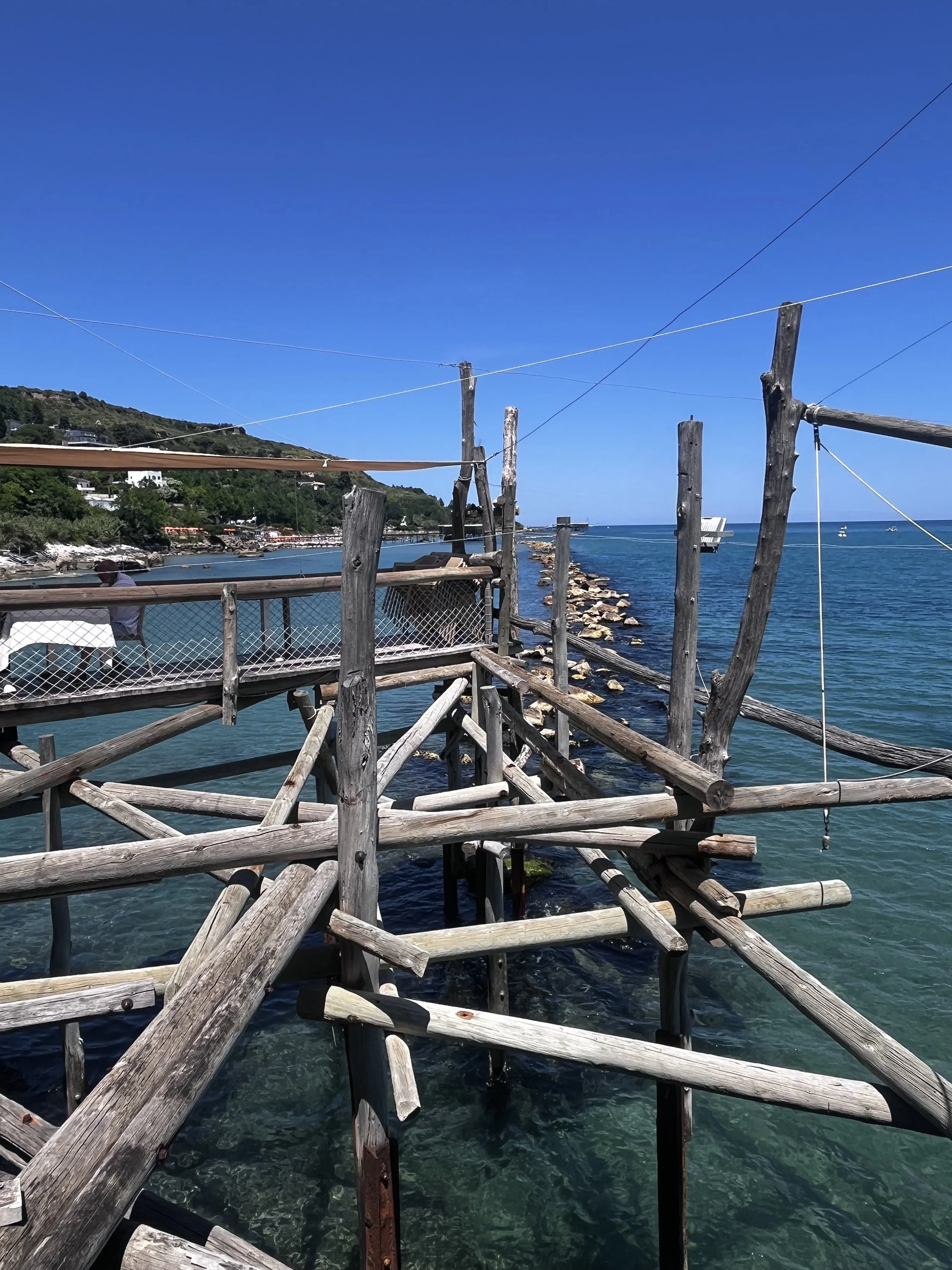 IMG_8350.jpeg